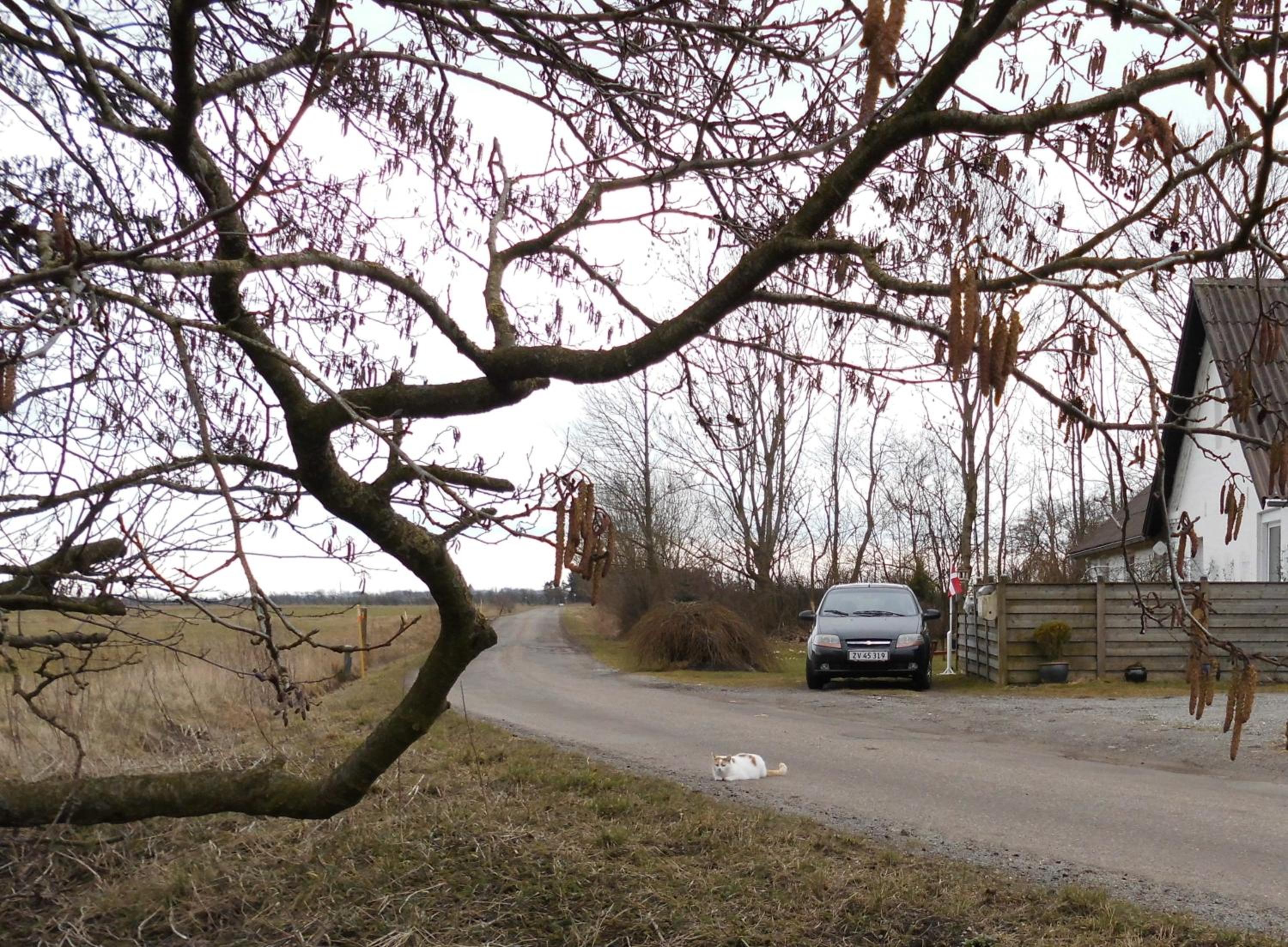Ellekær-Gård