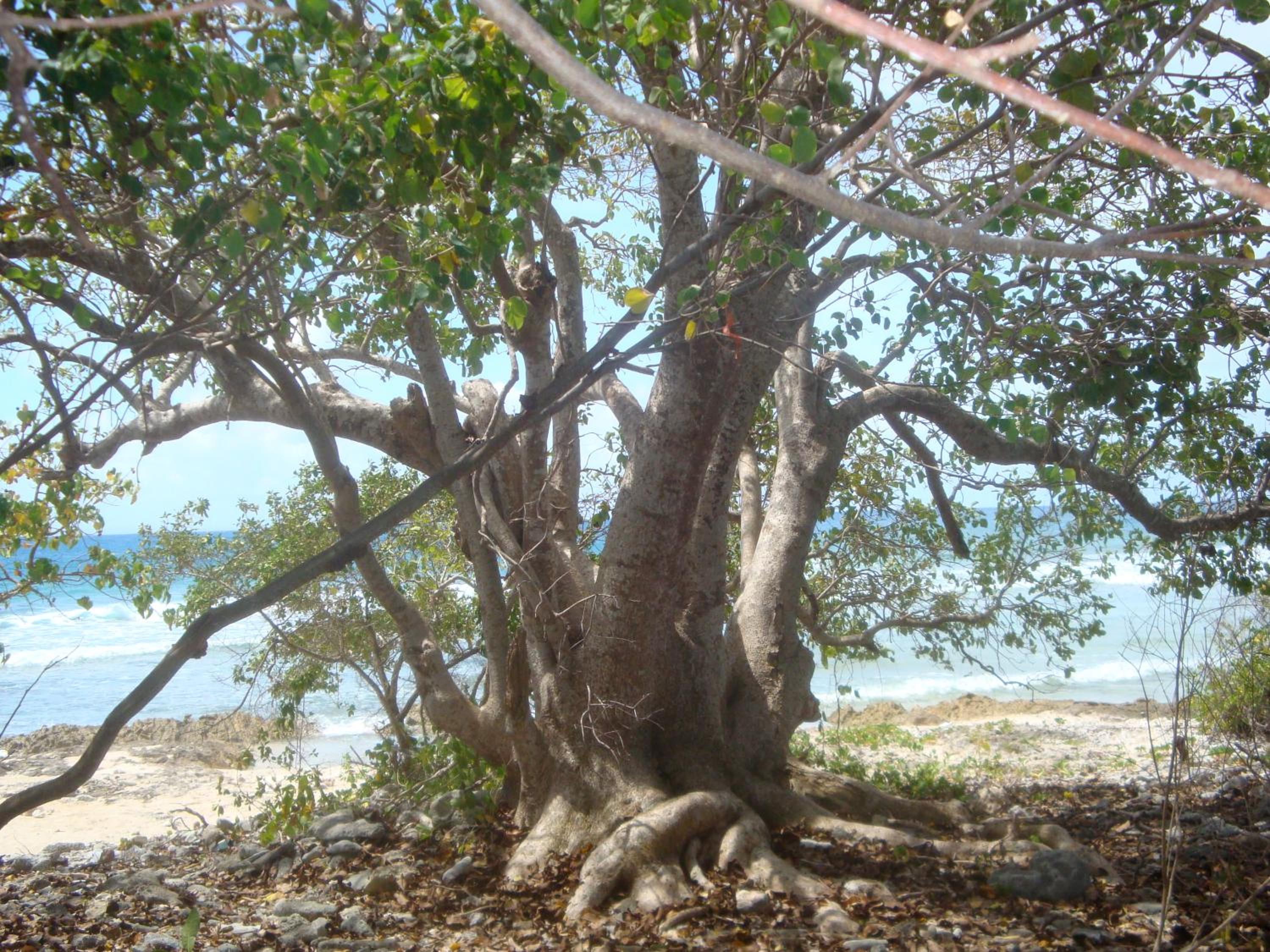 Photo 41
