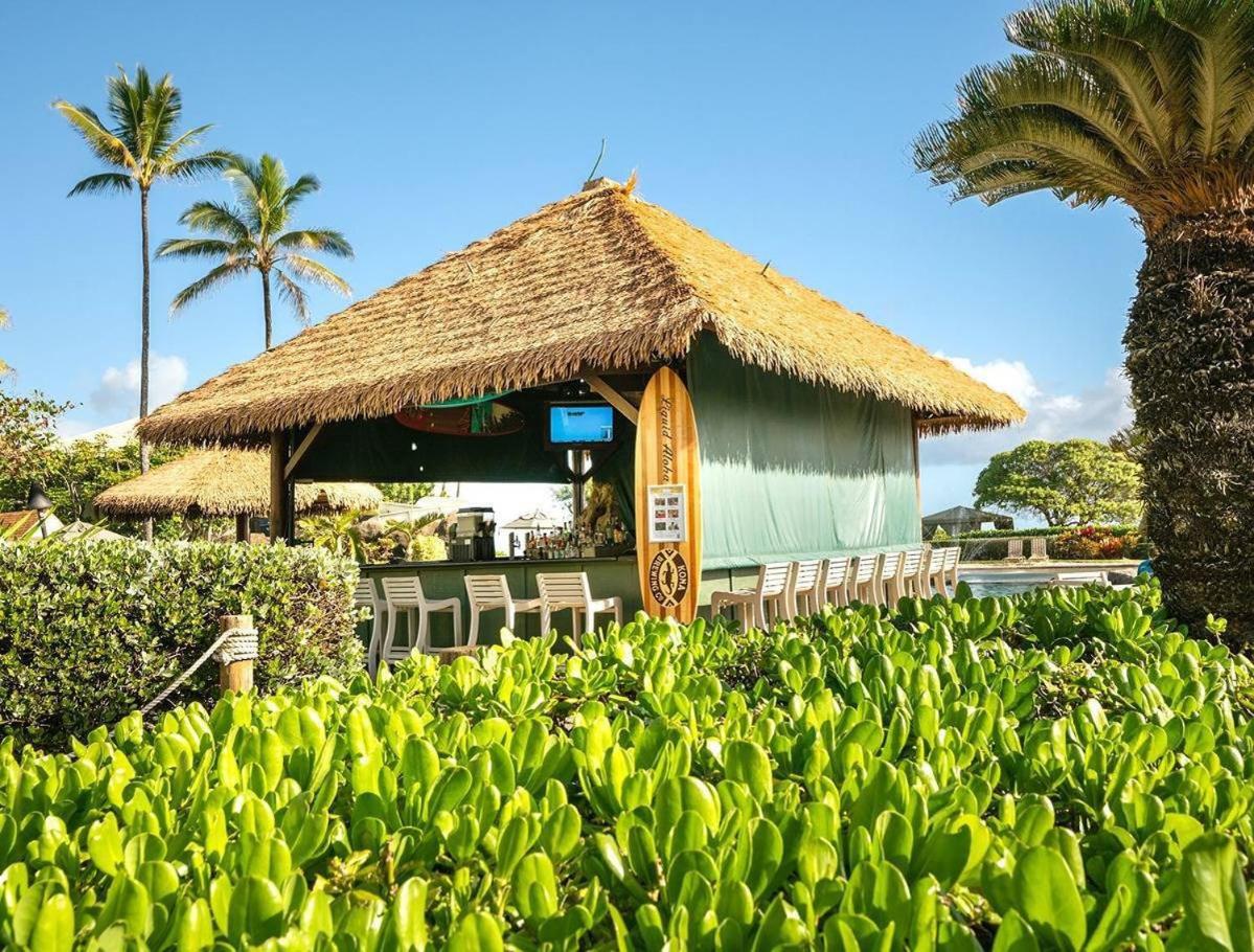 East Shore Beachfront Resort, Restaurant, Bar, AC, Spa, Pool & Gym