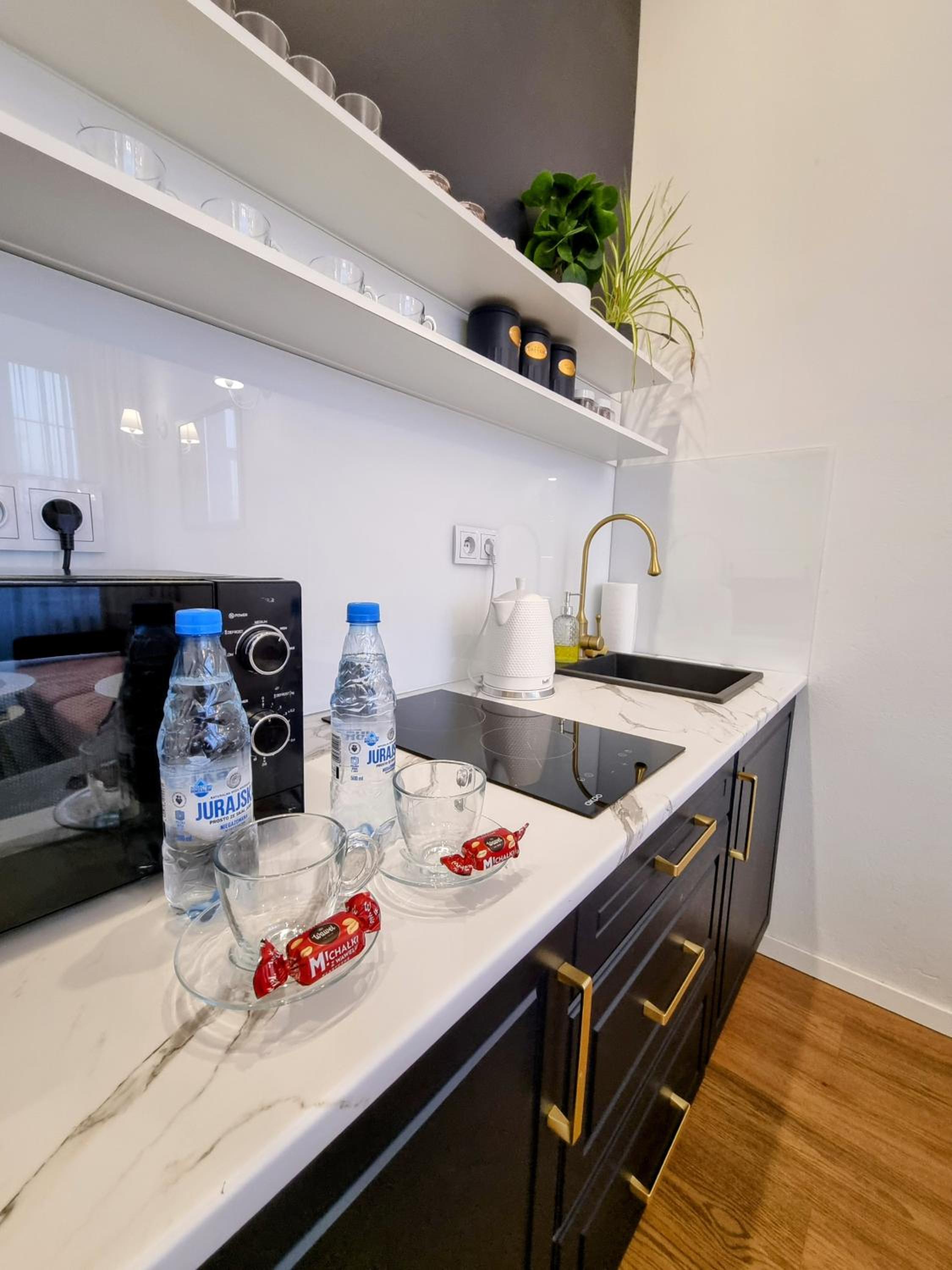 Biały Kruk Apartamenty vis-a-vis Jasnej Góry, photo 5