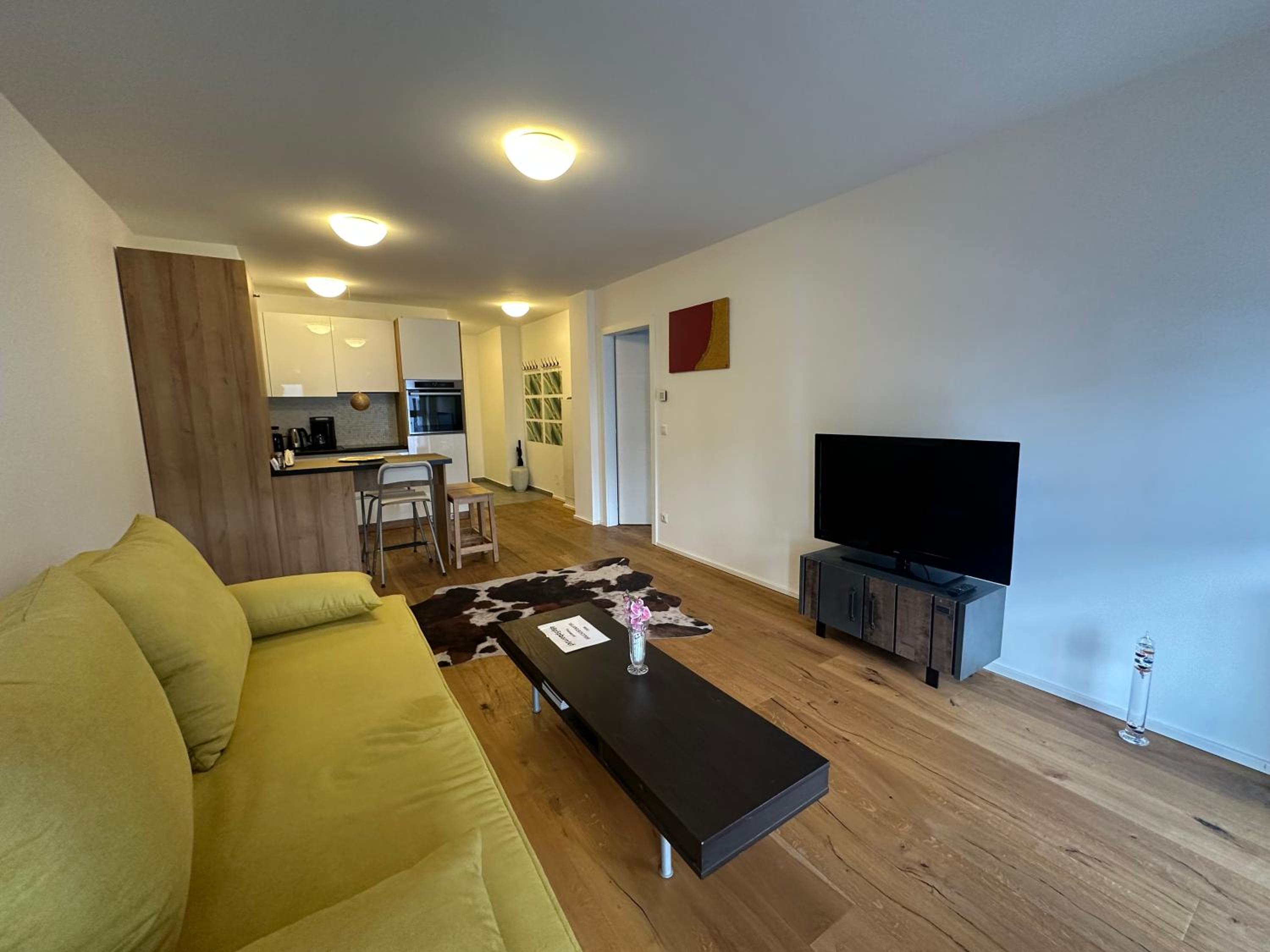 Beauty Apartment Erlachgasse