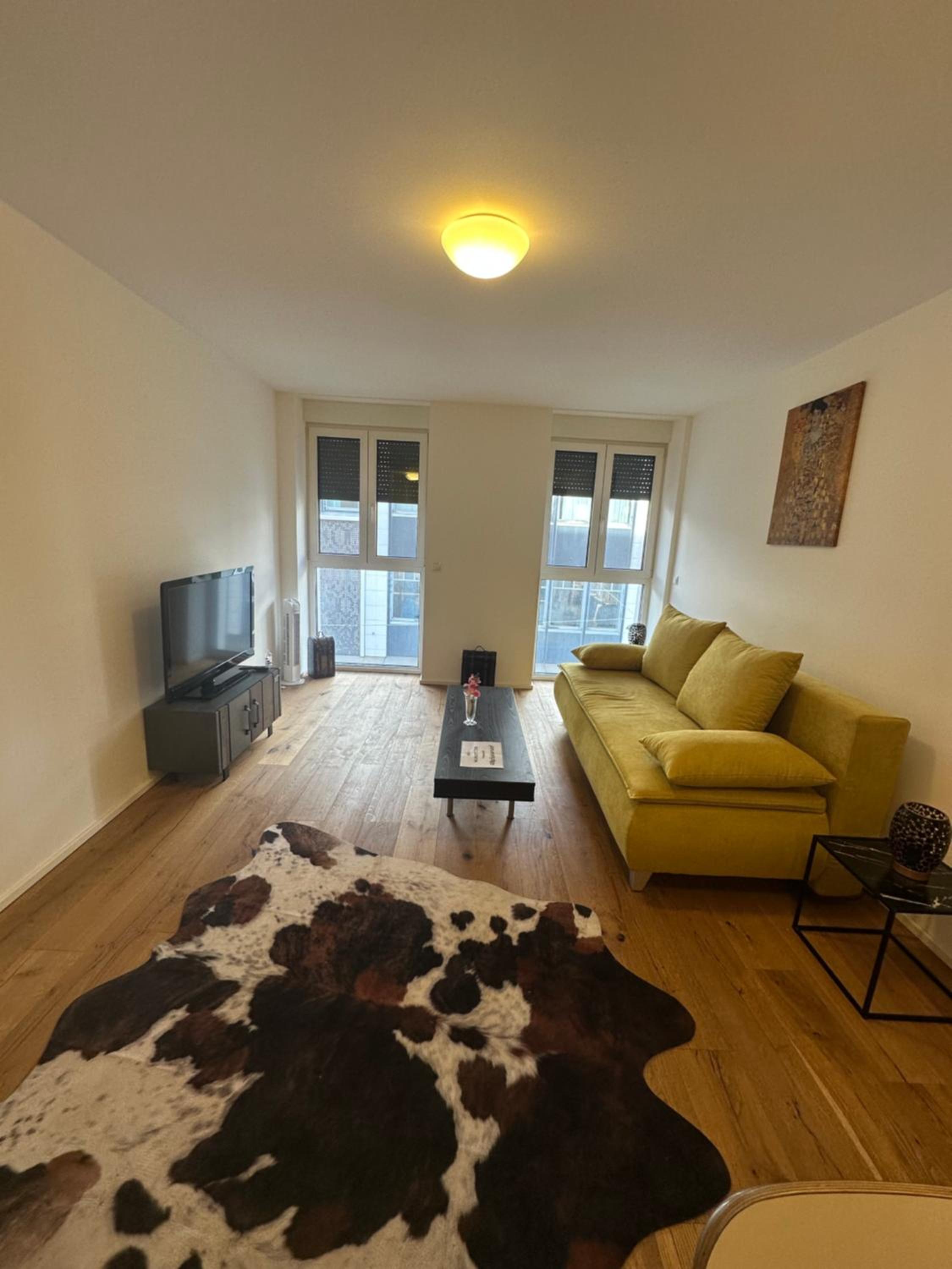 Beauty Apartment Erlachgasse