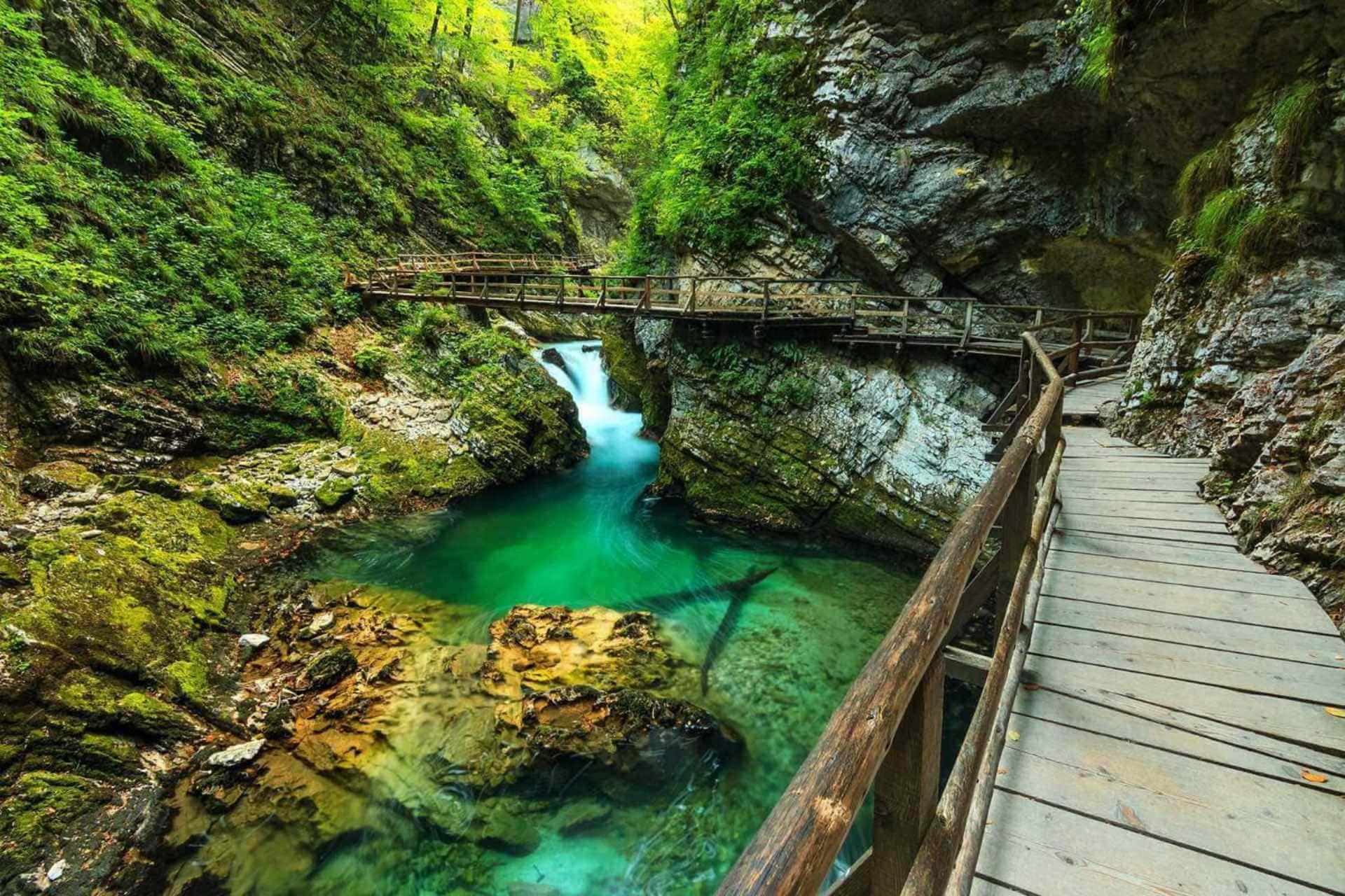 Bled Veldes