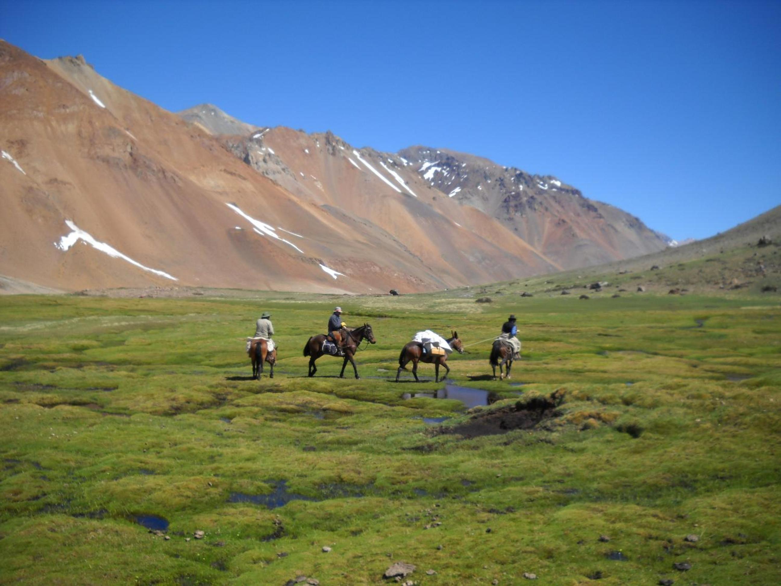 Los Molles Complejo Turistico
