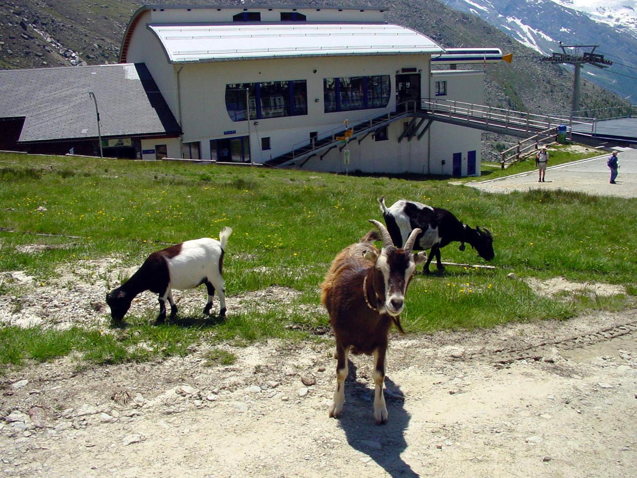 Haus Erle