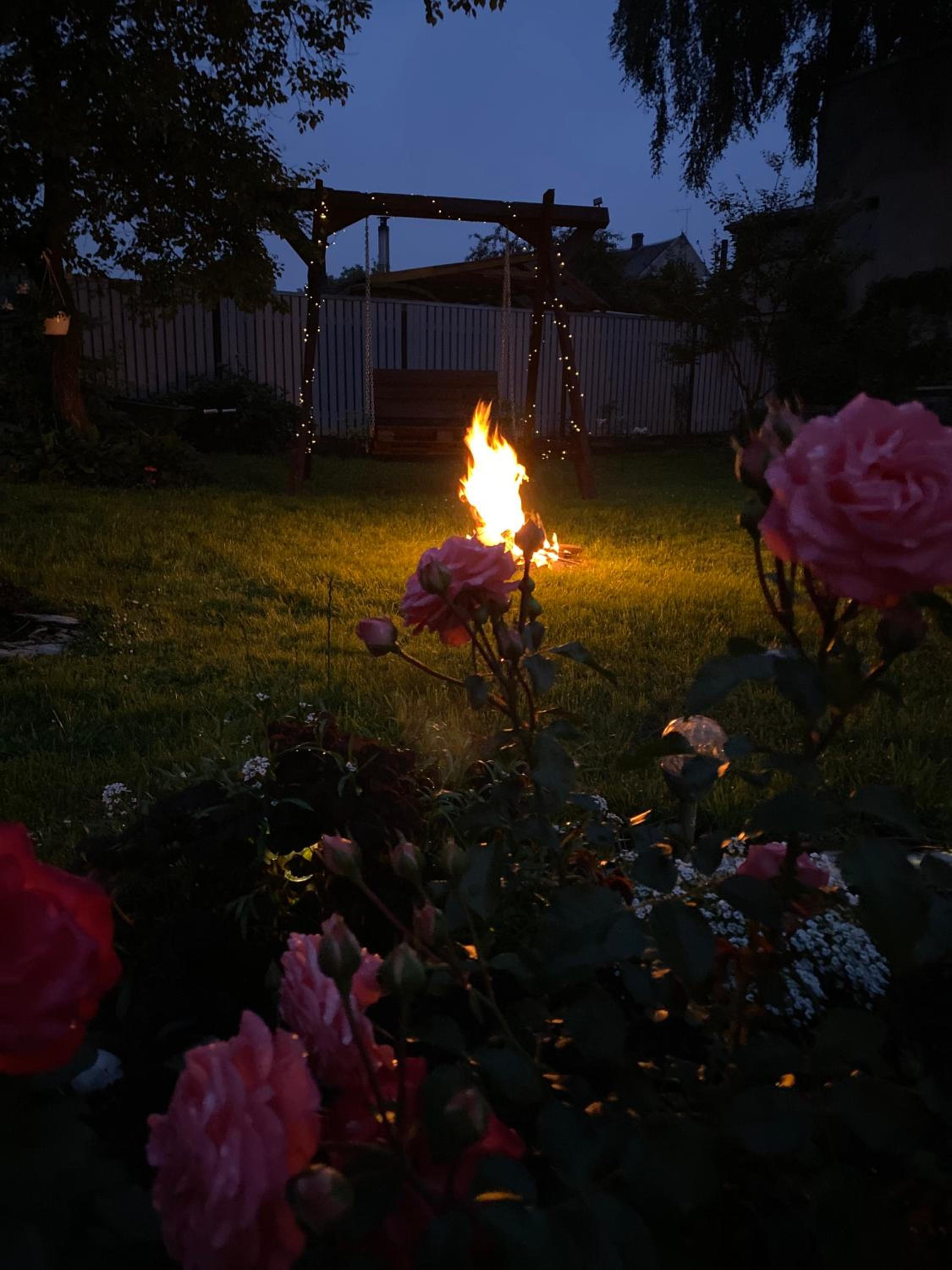 Photo 24