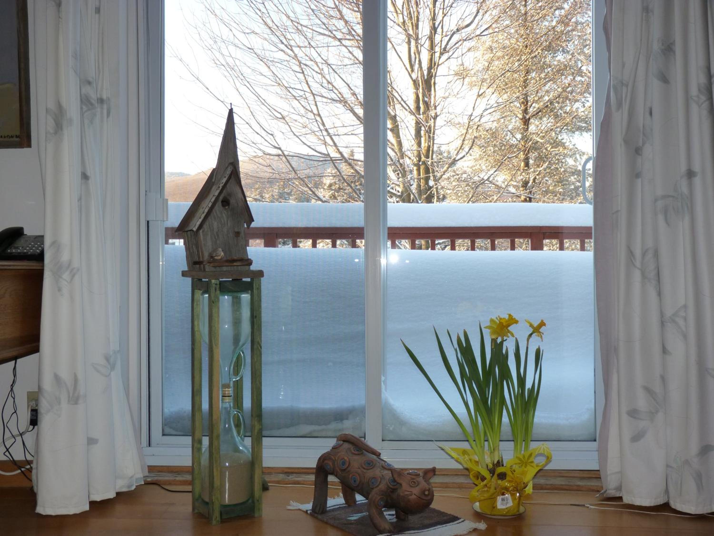 B&B Pinorama