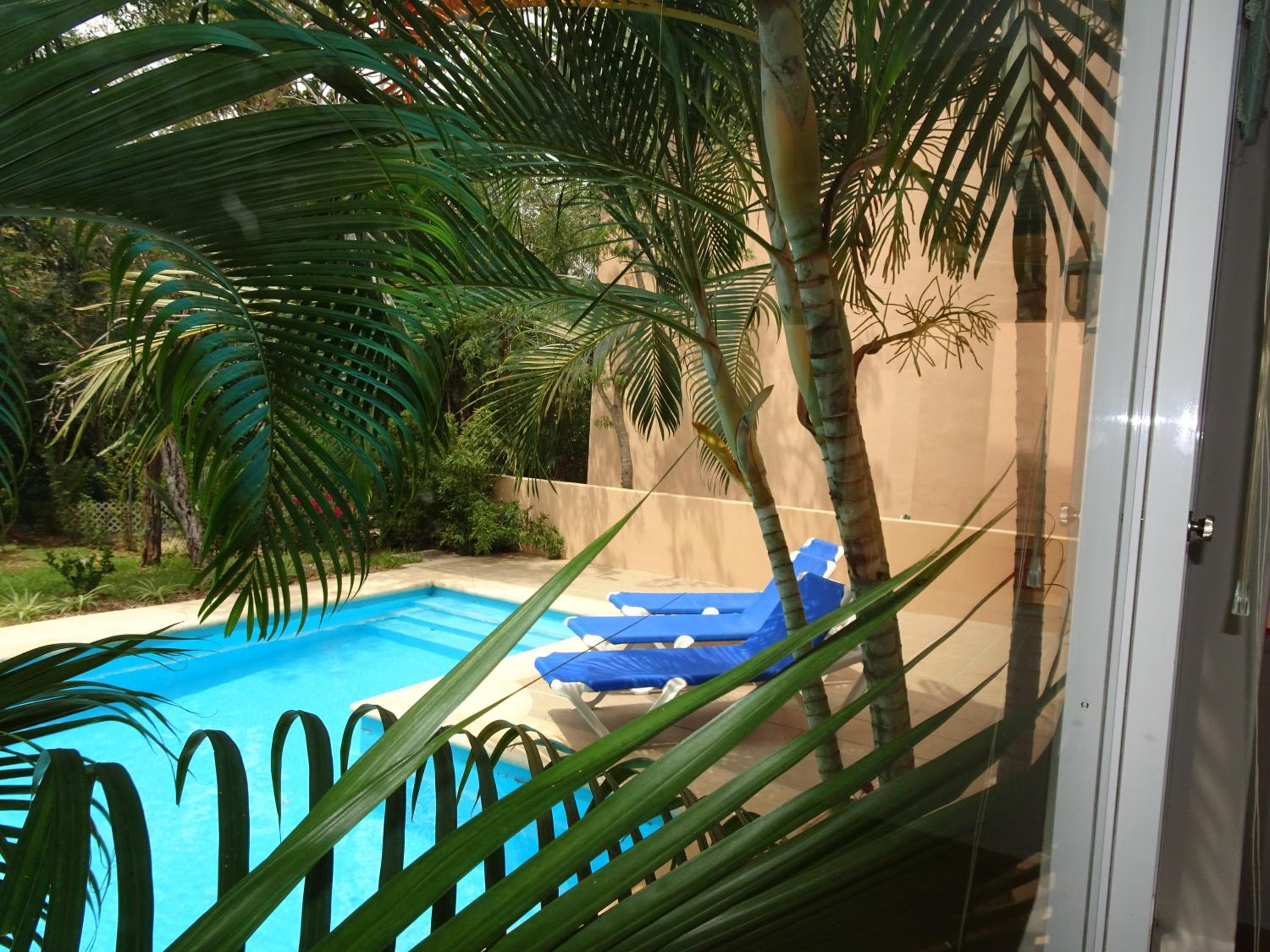 La Salamandra, photo 13