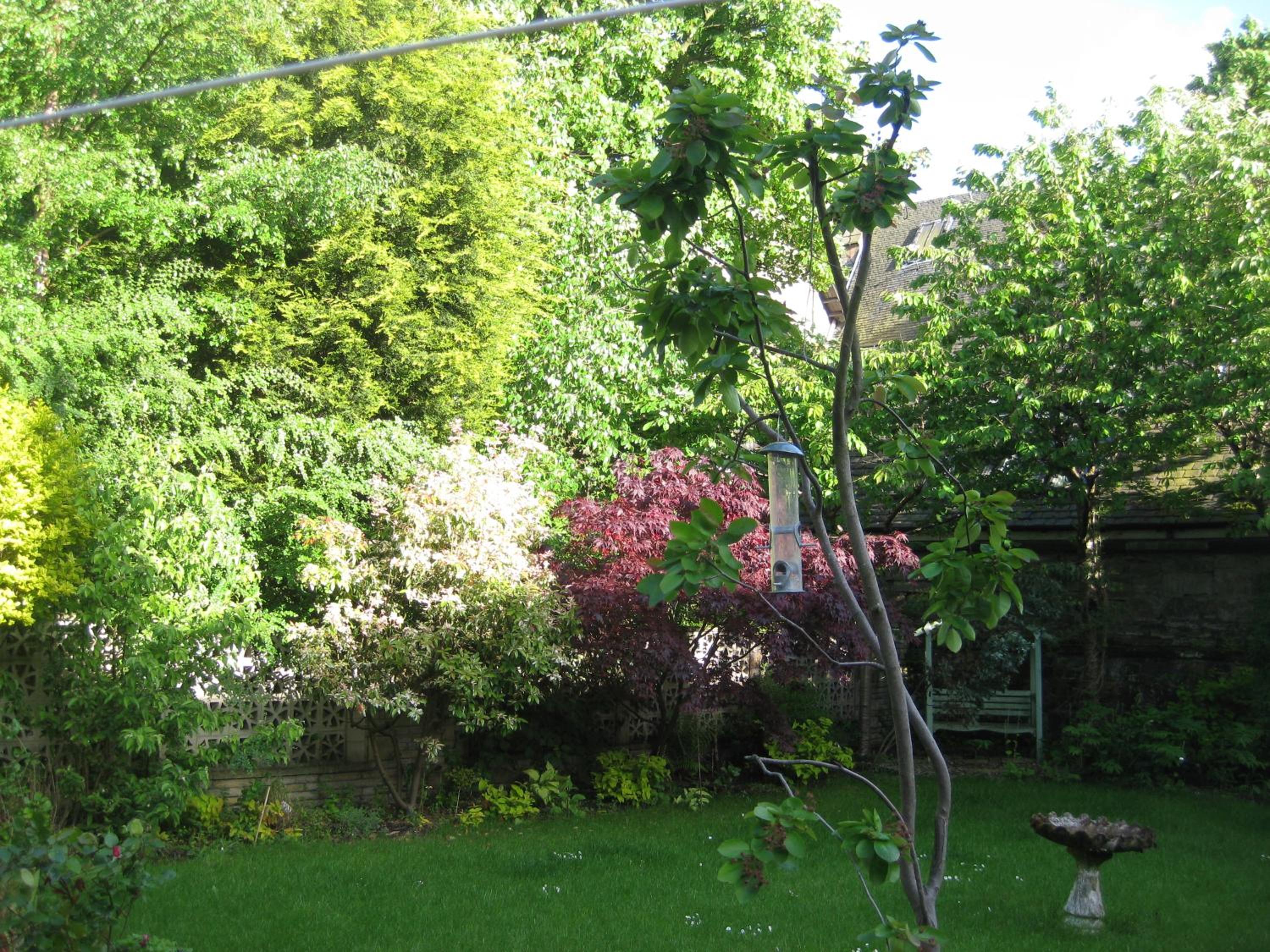Photo 61