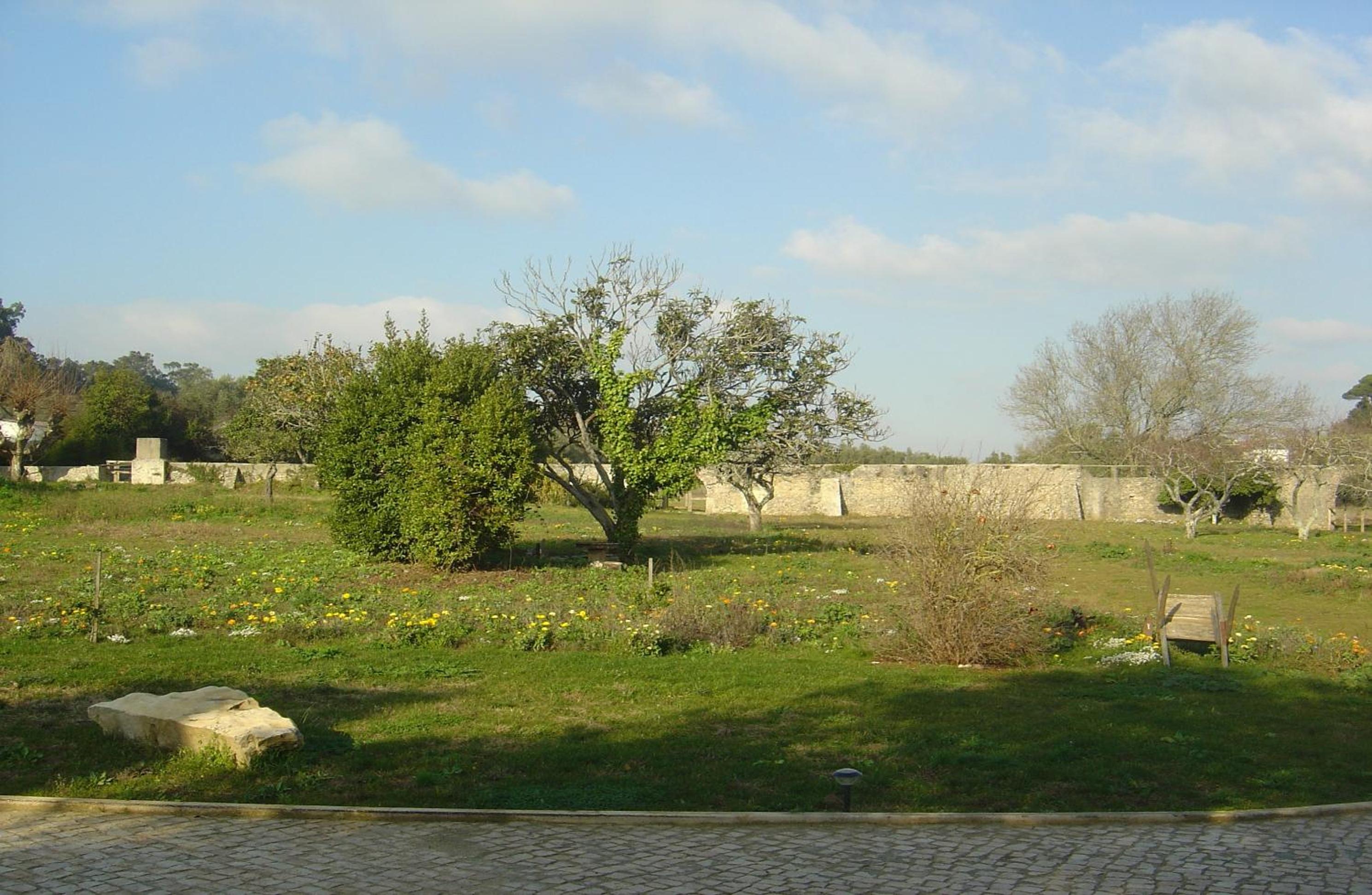 Quinta Do Scoto view 3