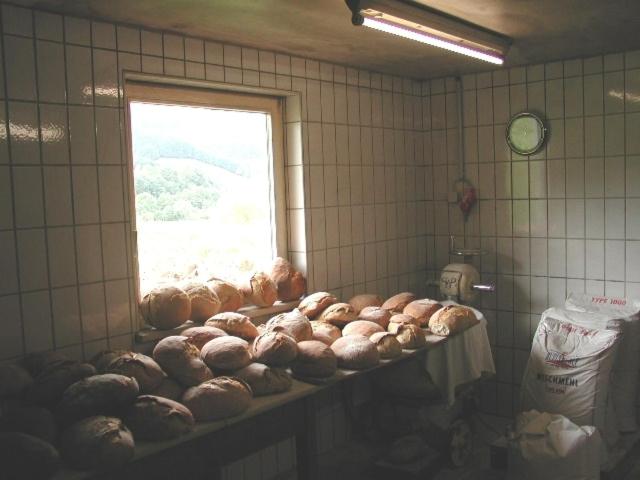 Rommelehof