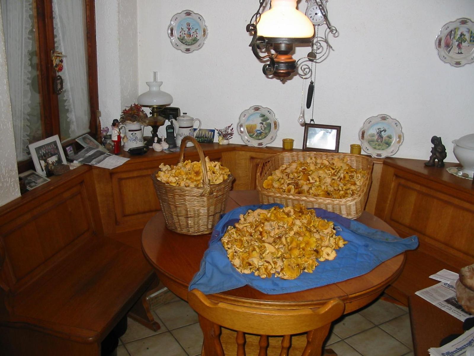 Rommelehof