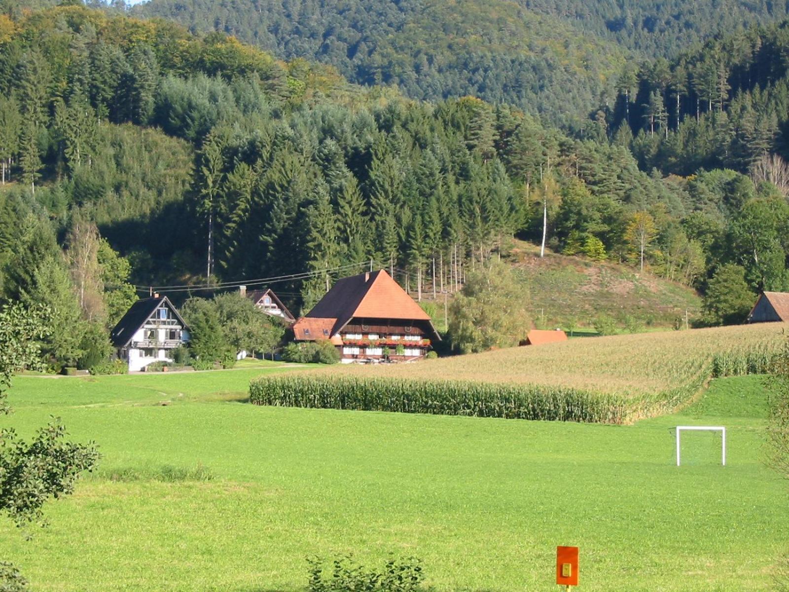 Rommelehof