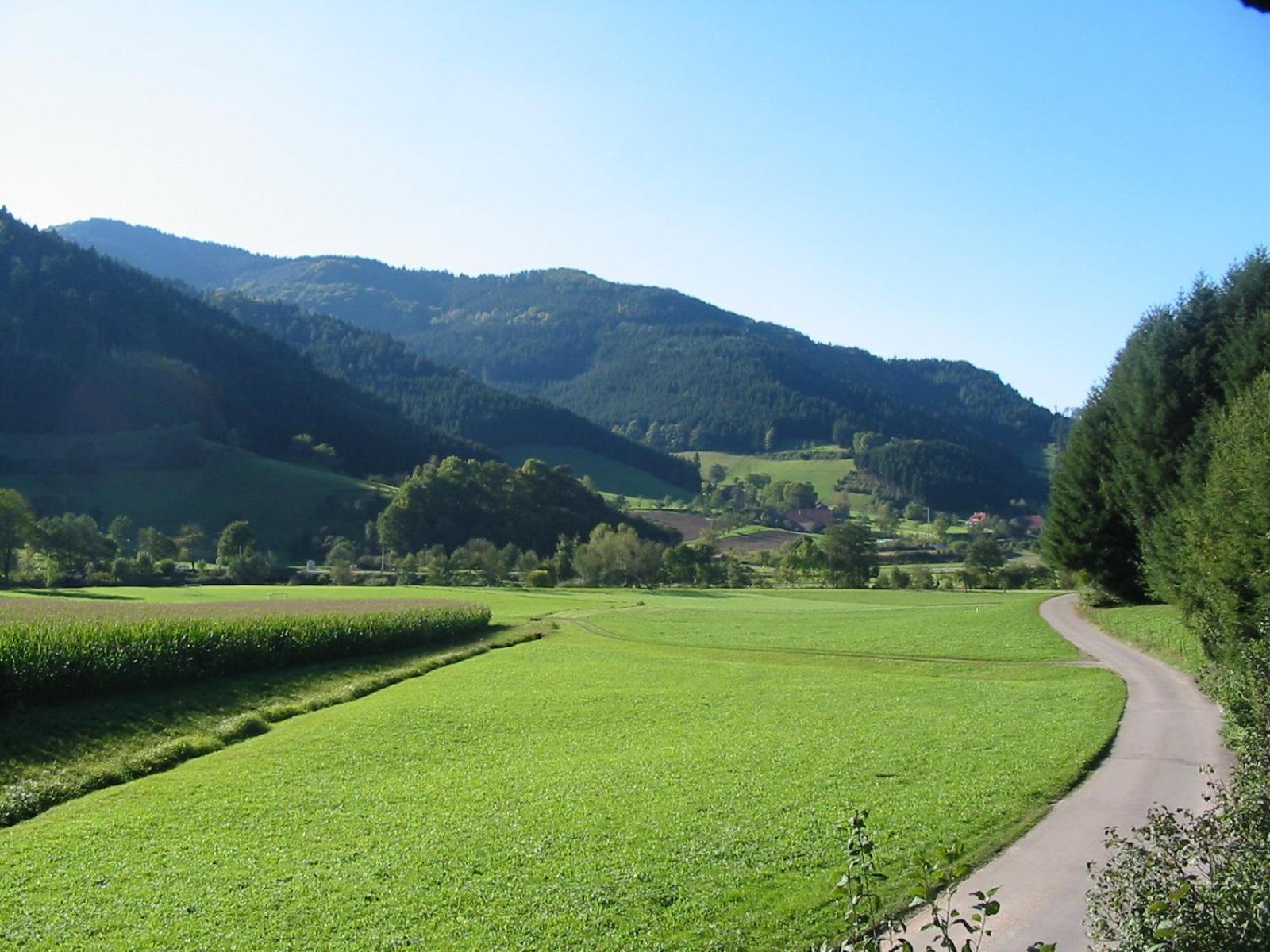 Rommelehof