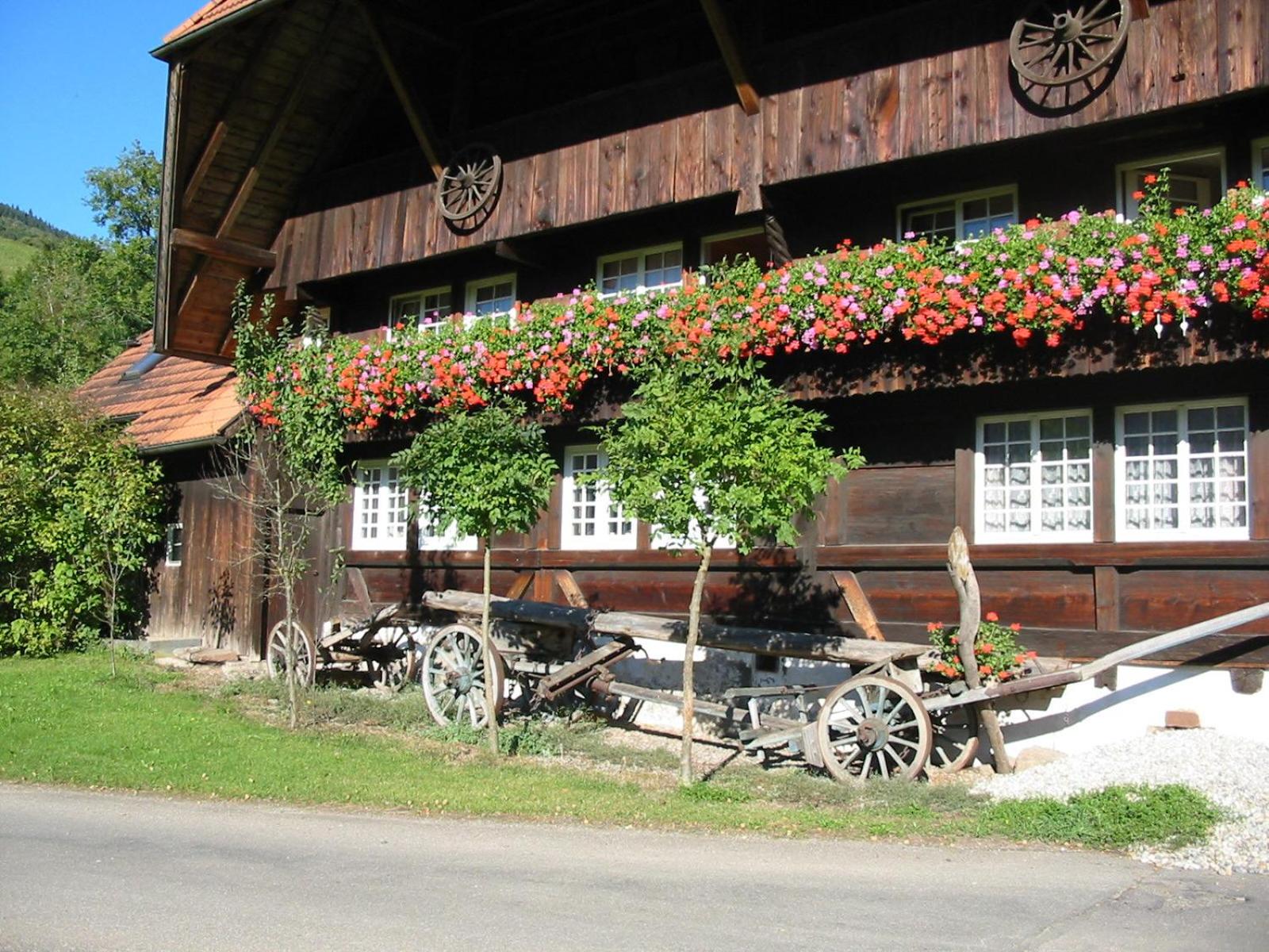 Rommelehof