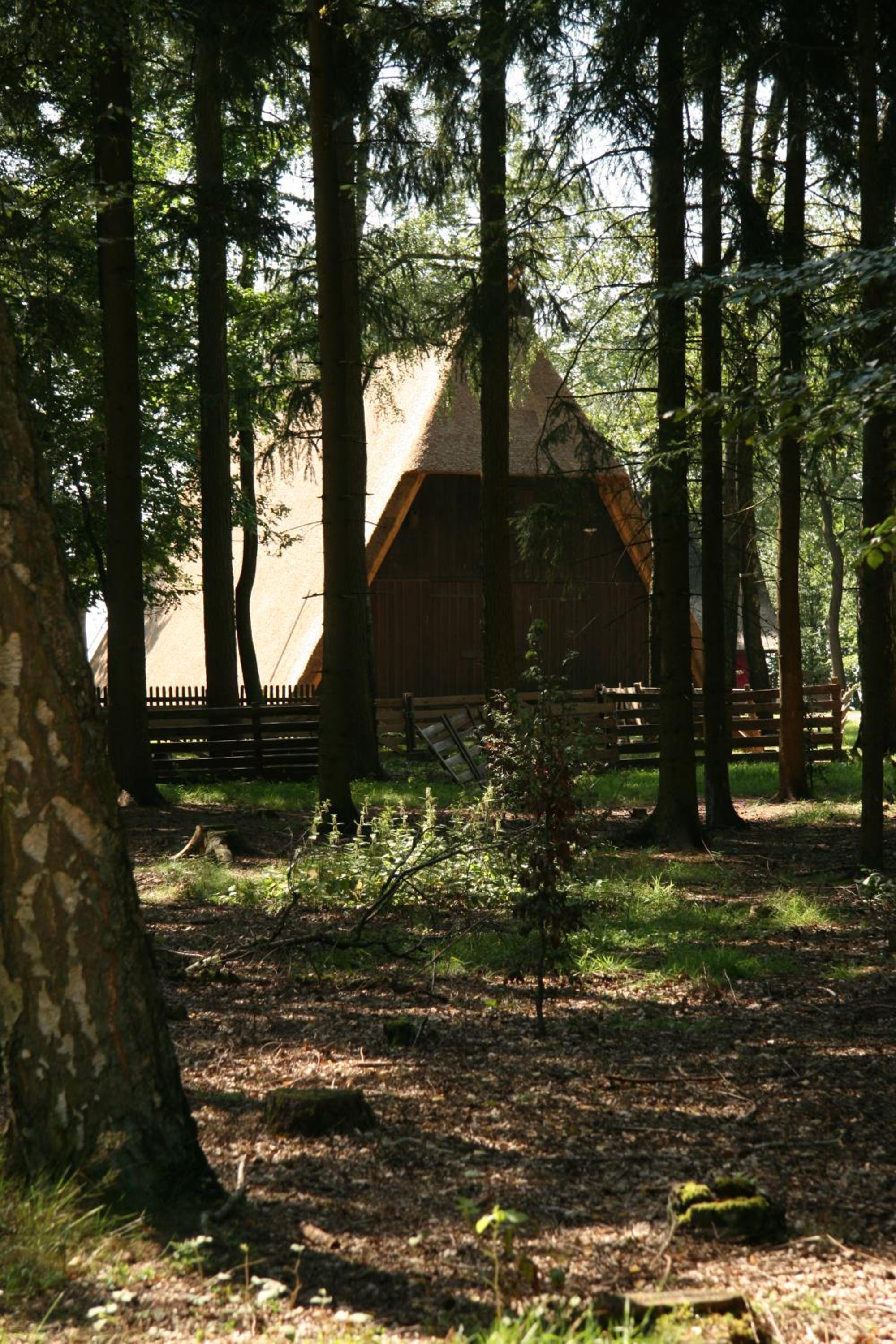 Photo 24