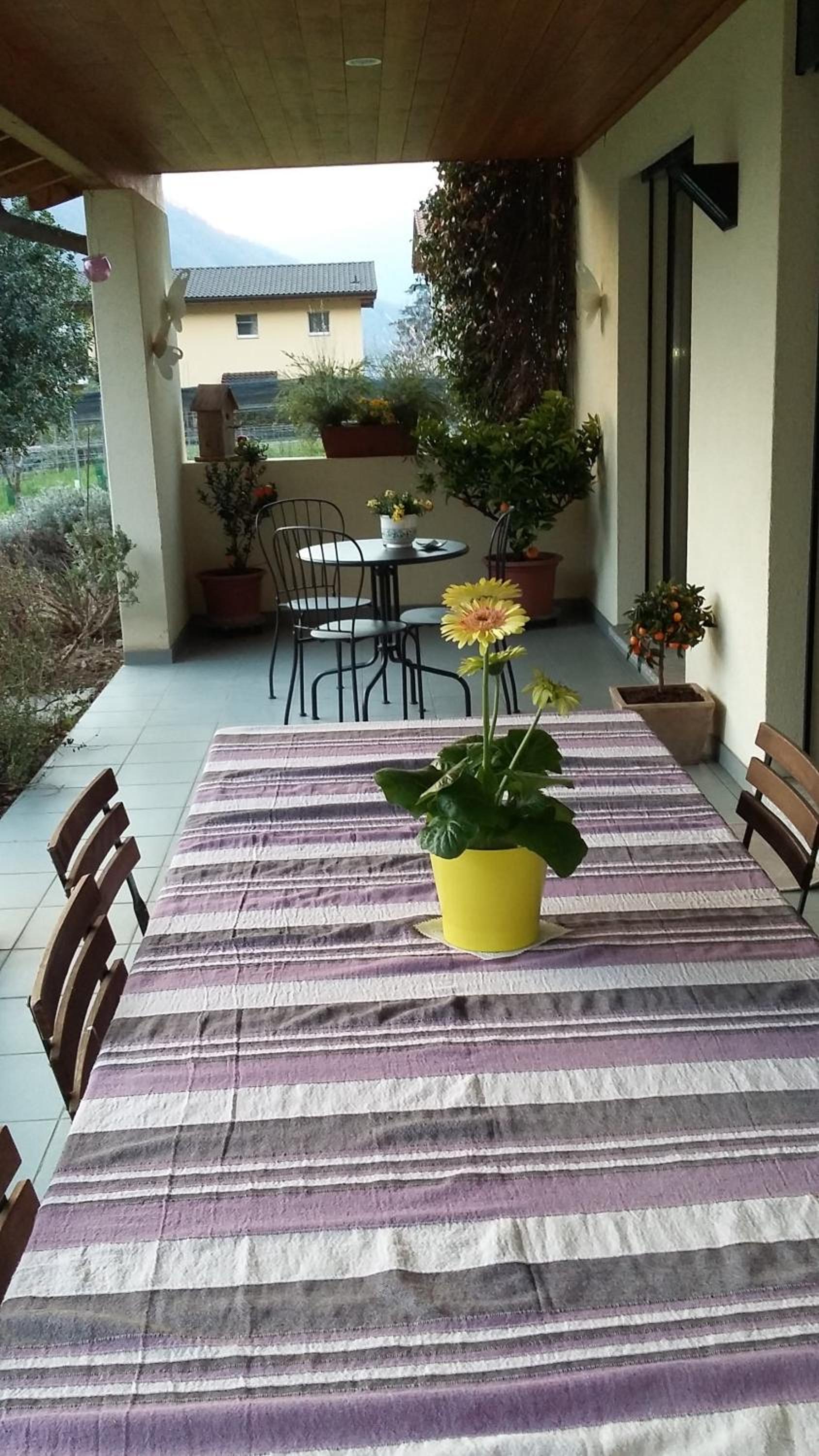 B&B Il Vigneto