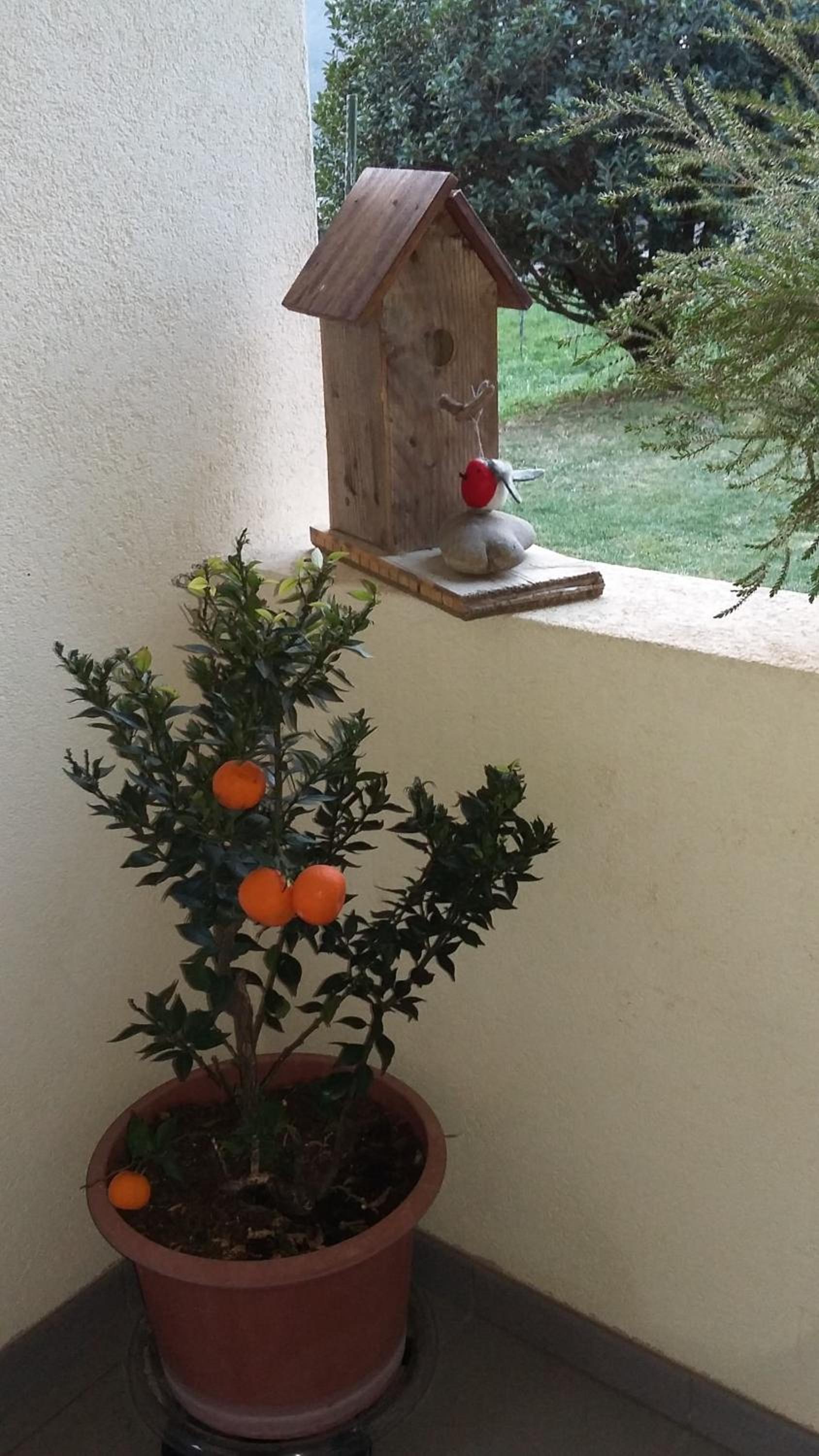B&B Il Vigneto