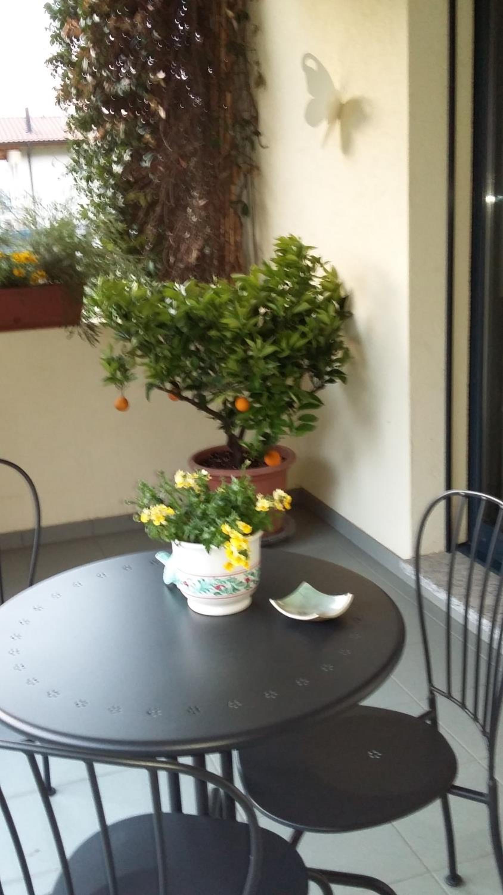 B&B Il Vigneto