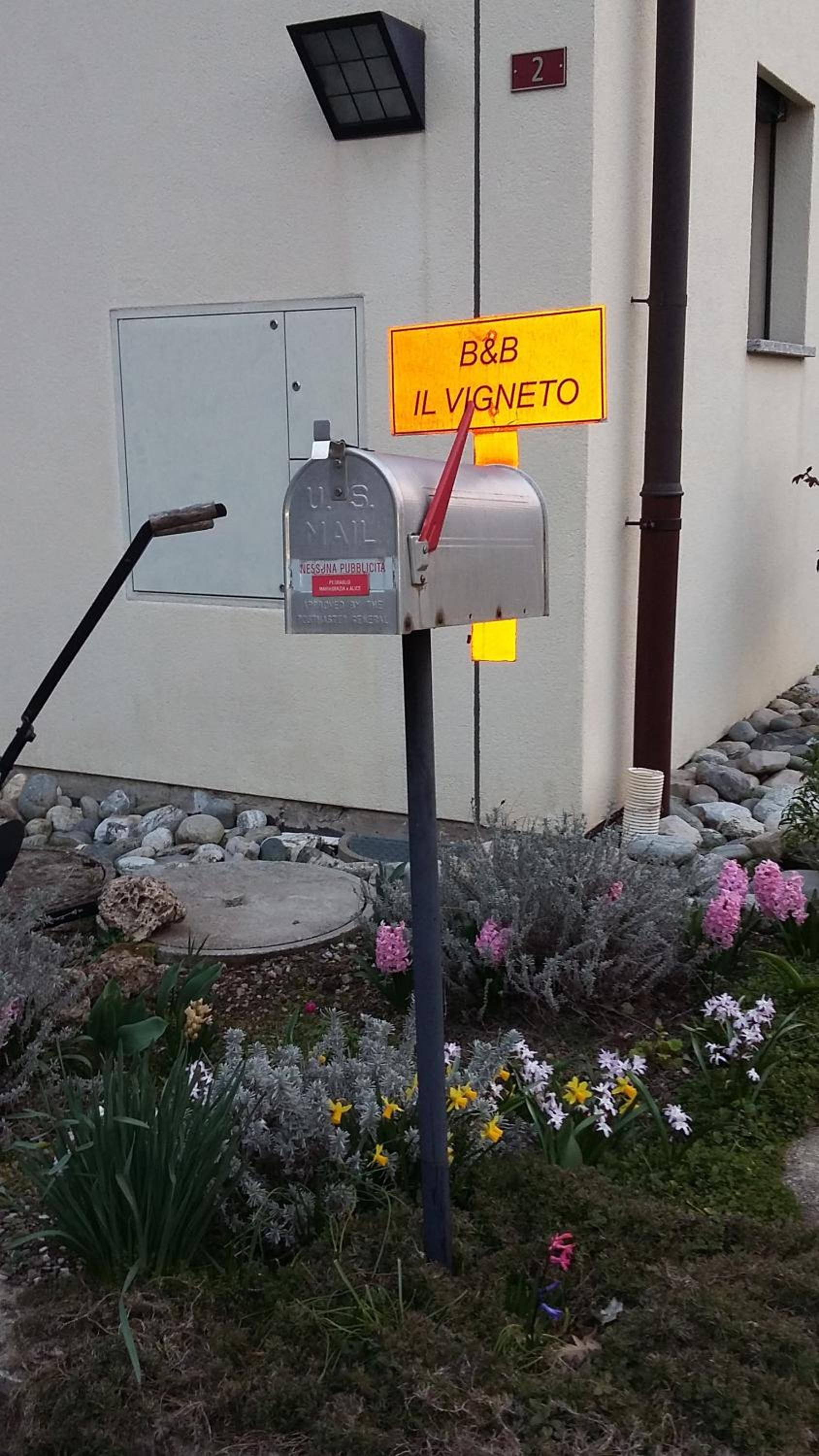 B&B Il Vigneto