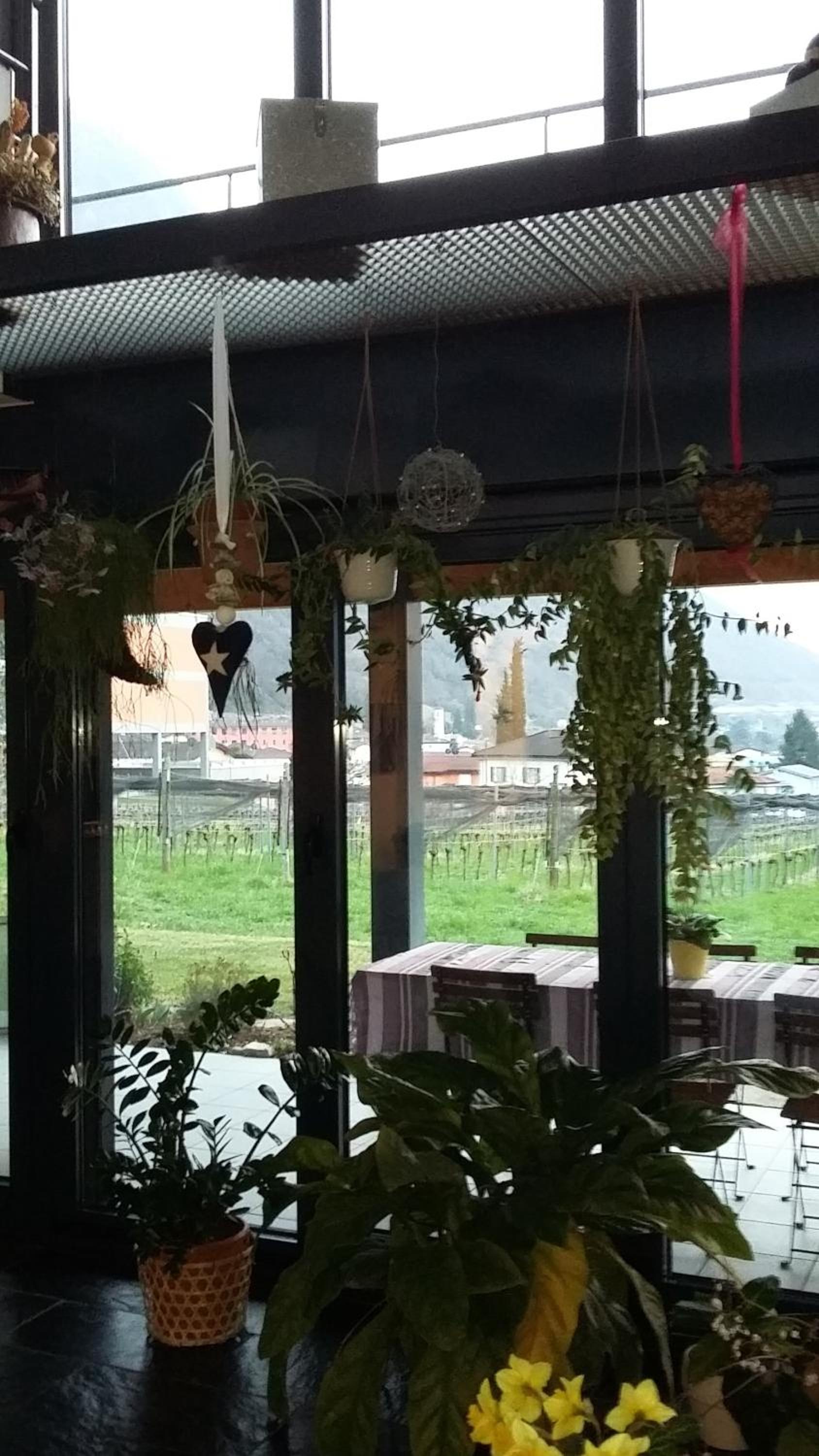 B&B Il Vigneto