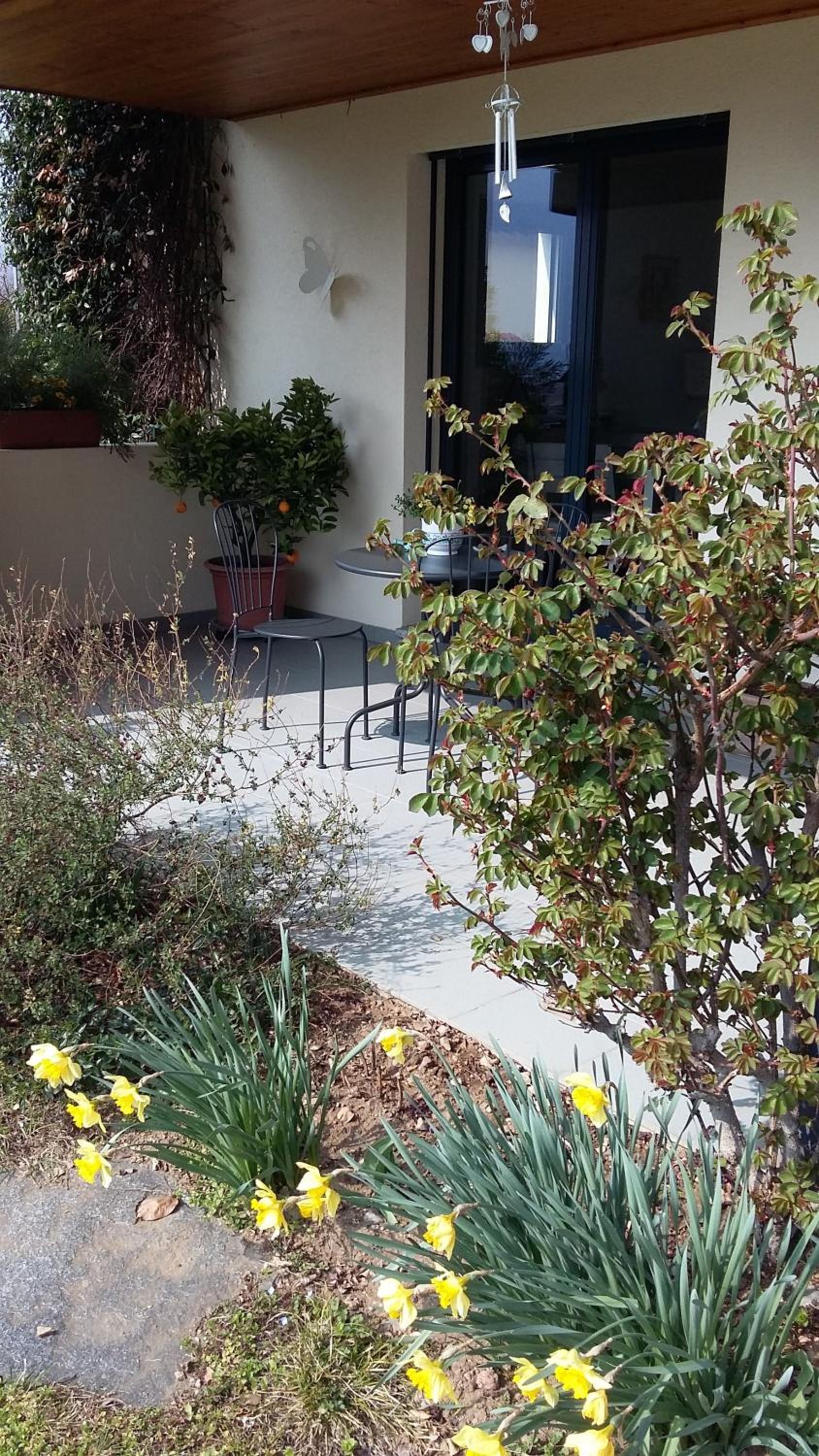 B&B Il Vigneto