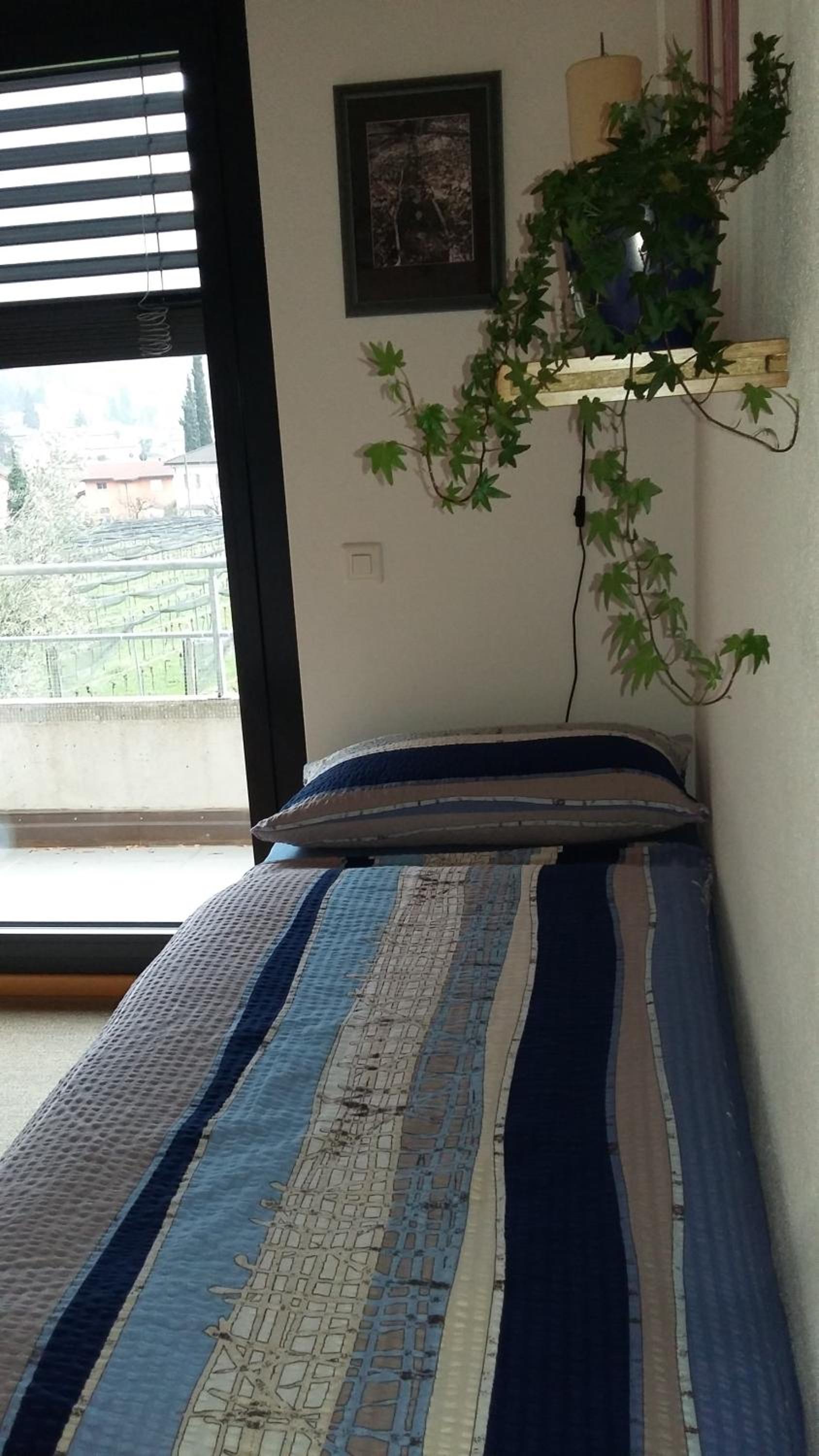 B&B Il Vigneto