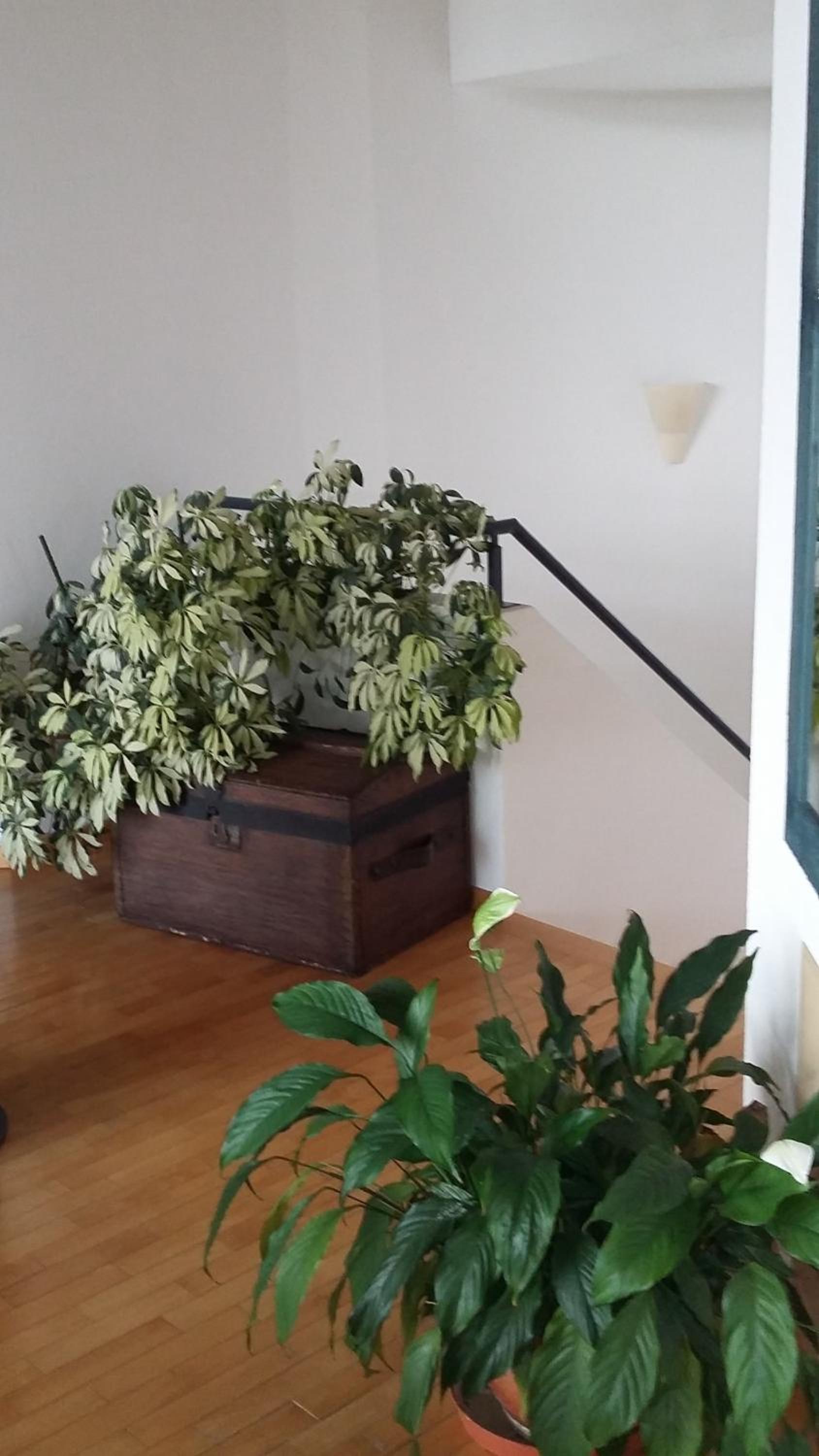 B&B Il Vigneto