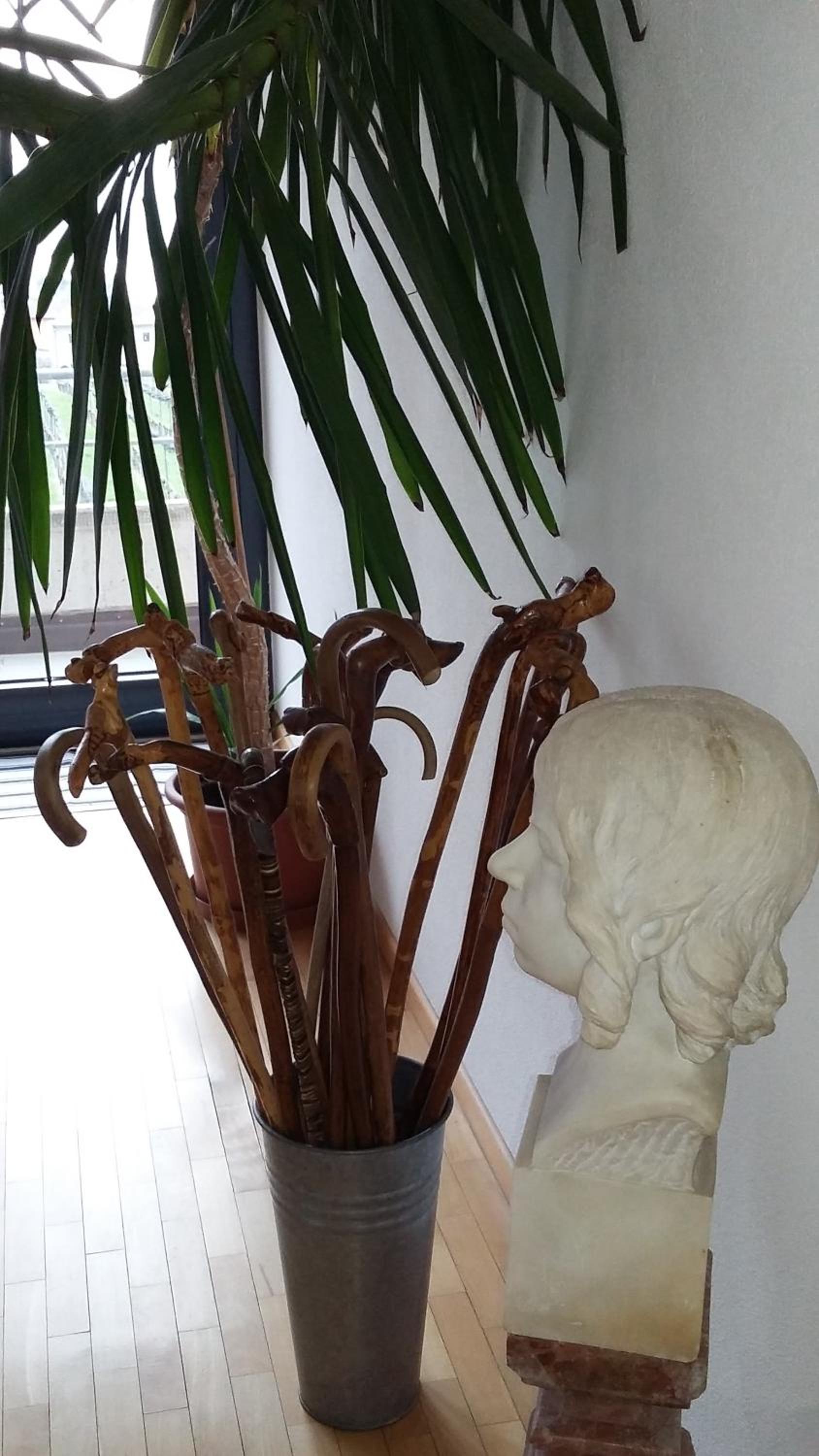 B&B Il Vigneto