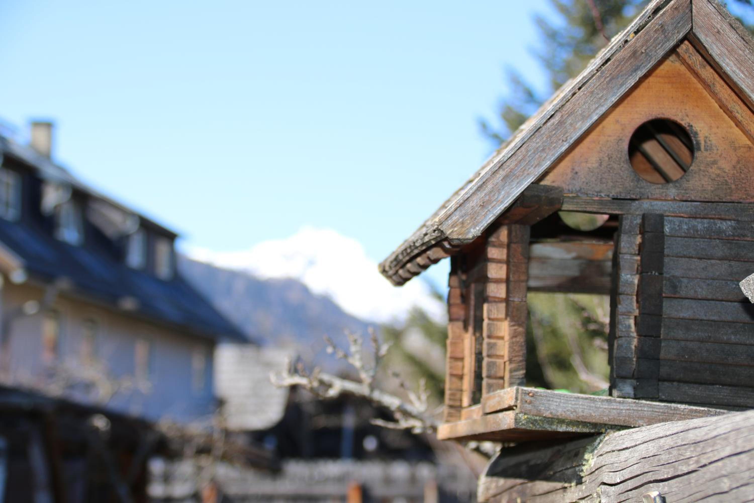 Haus Dorfer
