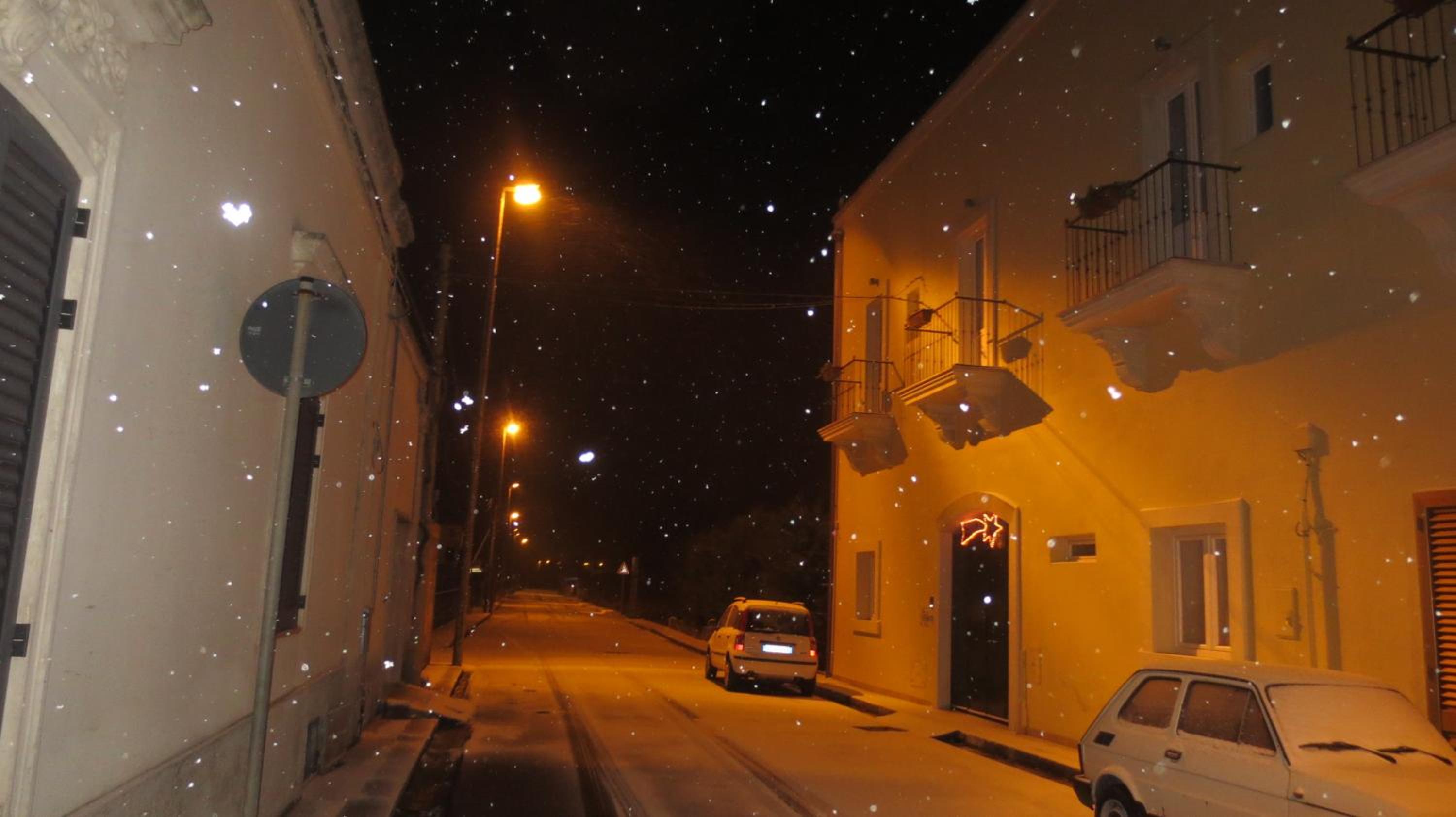 Photo 40