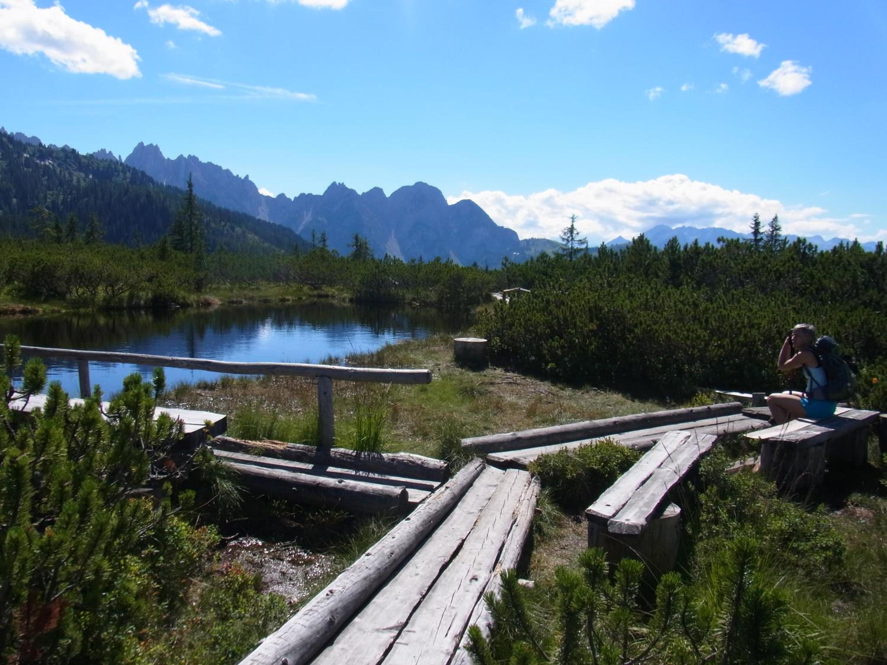 Landhaus Schwaighofer Dachstein West