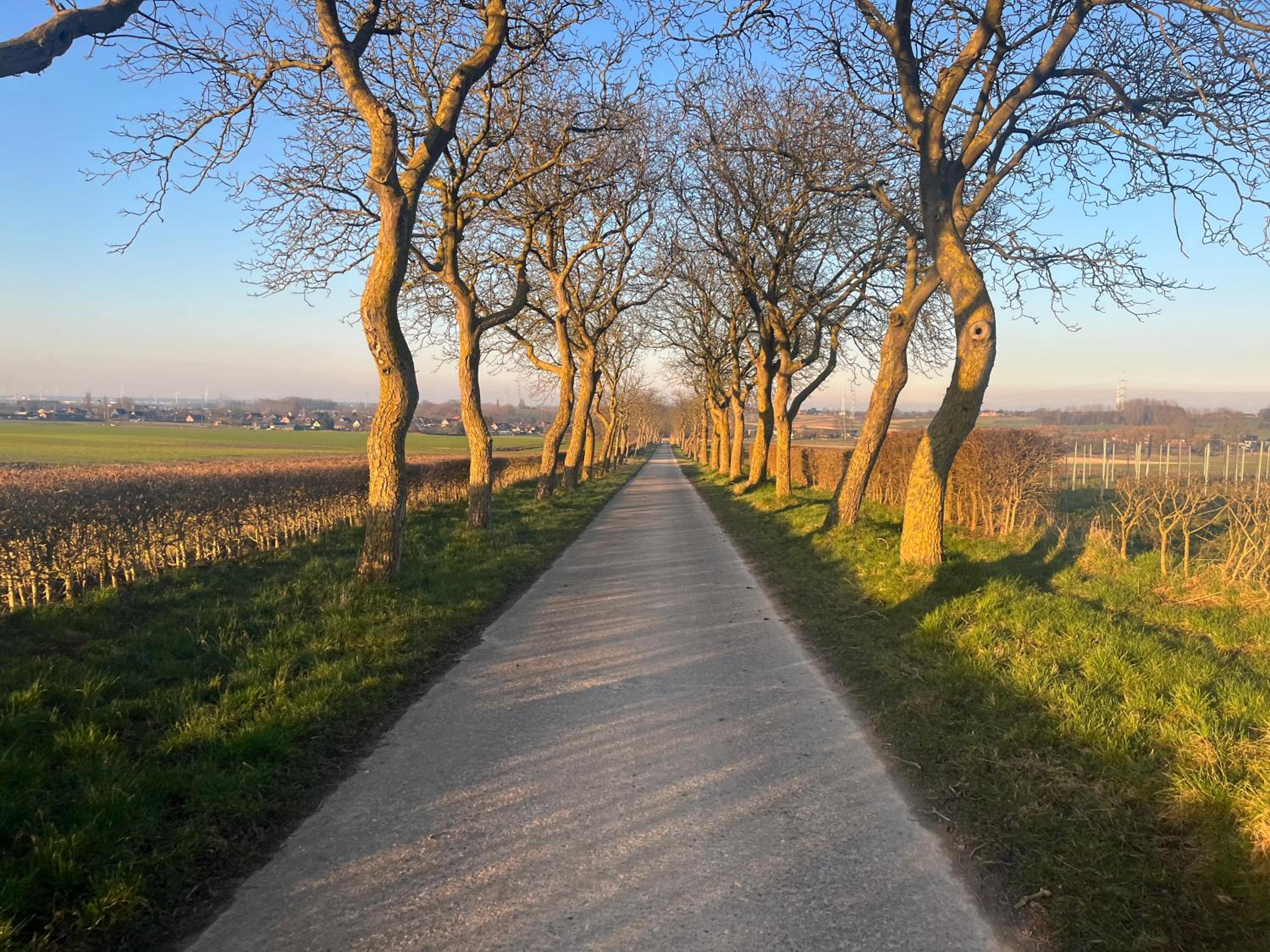 Broekemmolen - Nature getaway & green spot