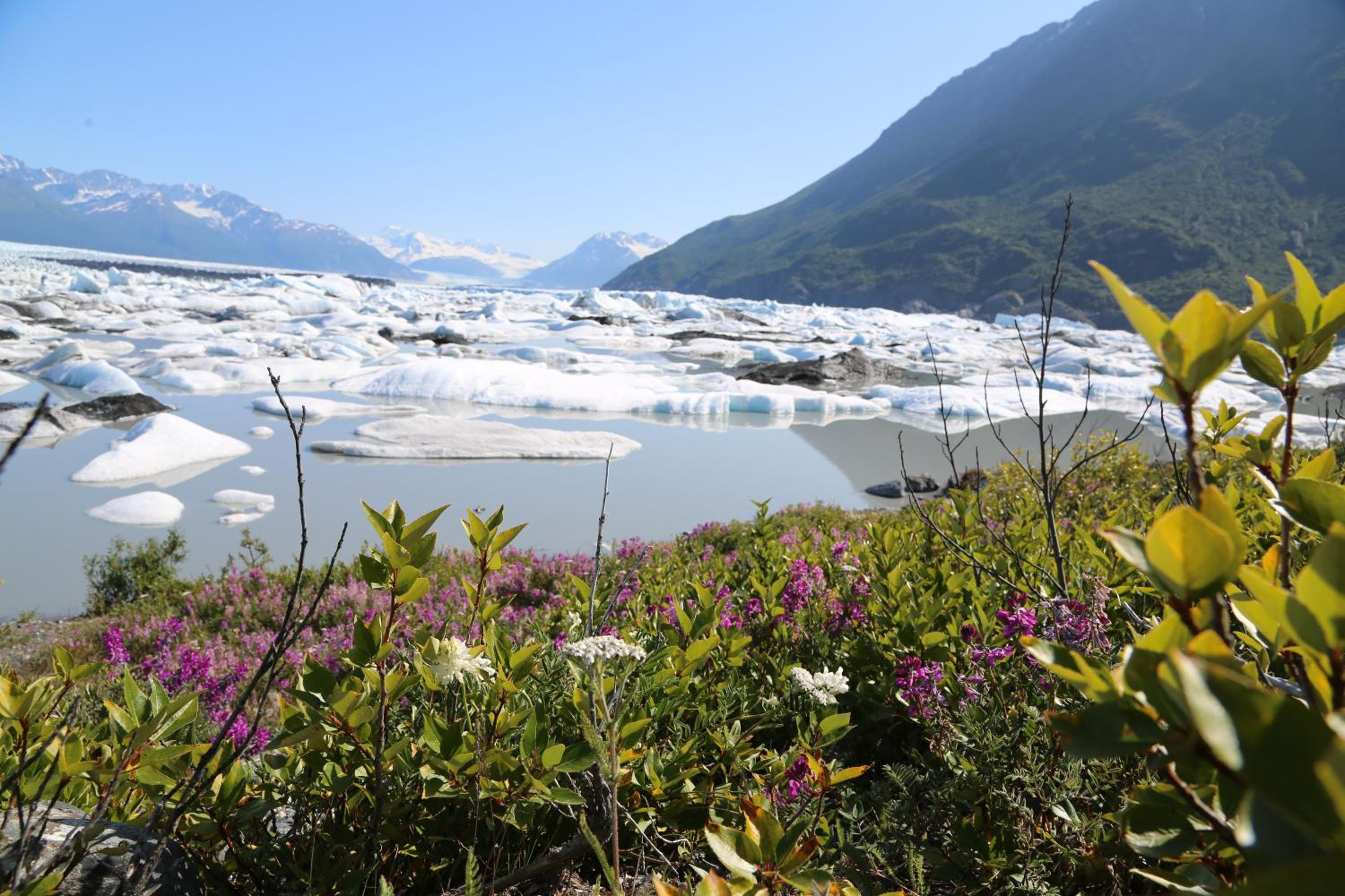 Alaska Glacier Lodge view 5