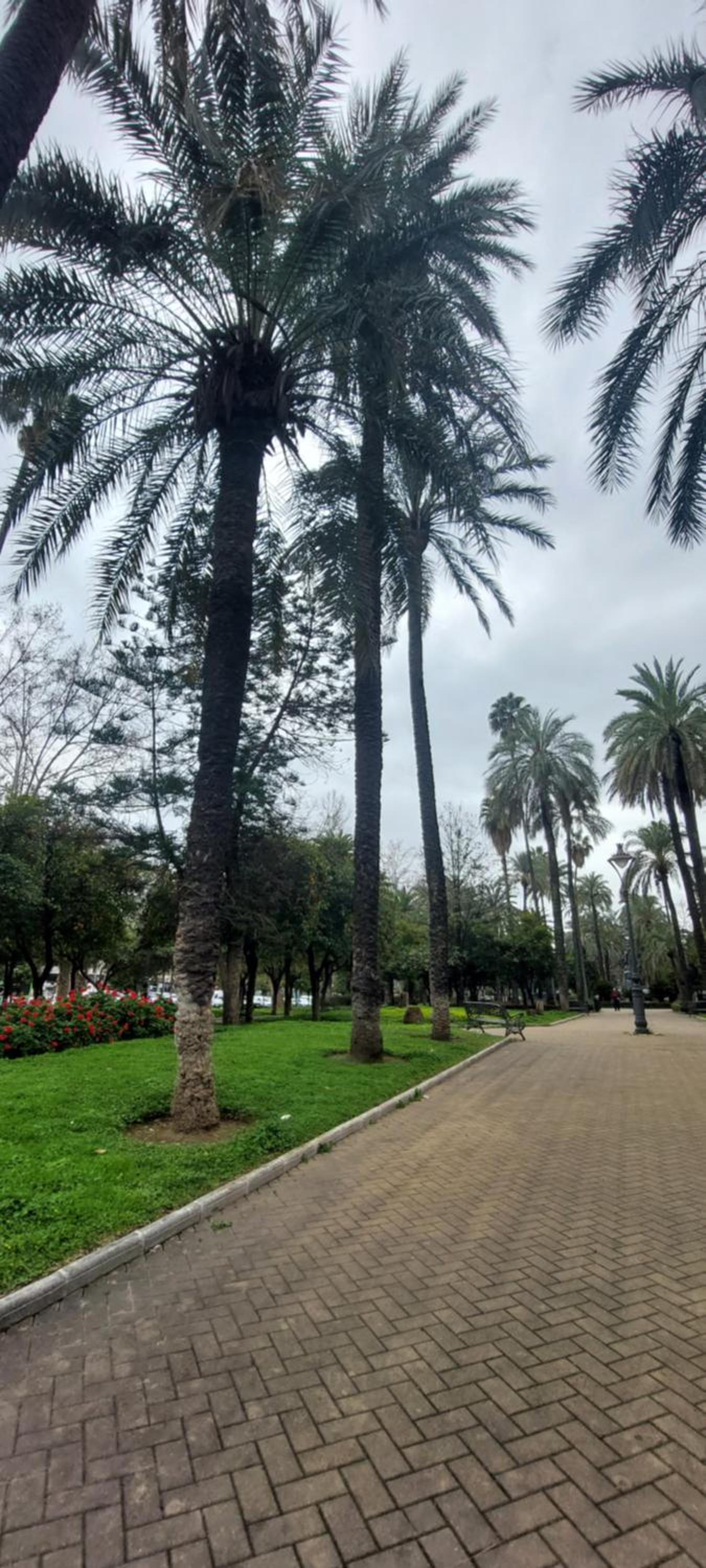 Victoria 13 Apartamento romántico en el centro de Córdoba