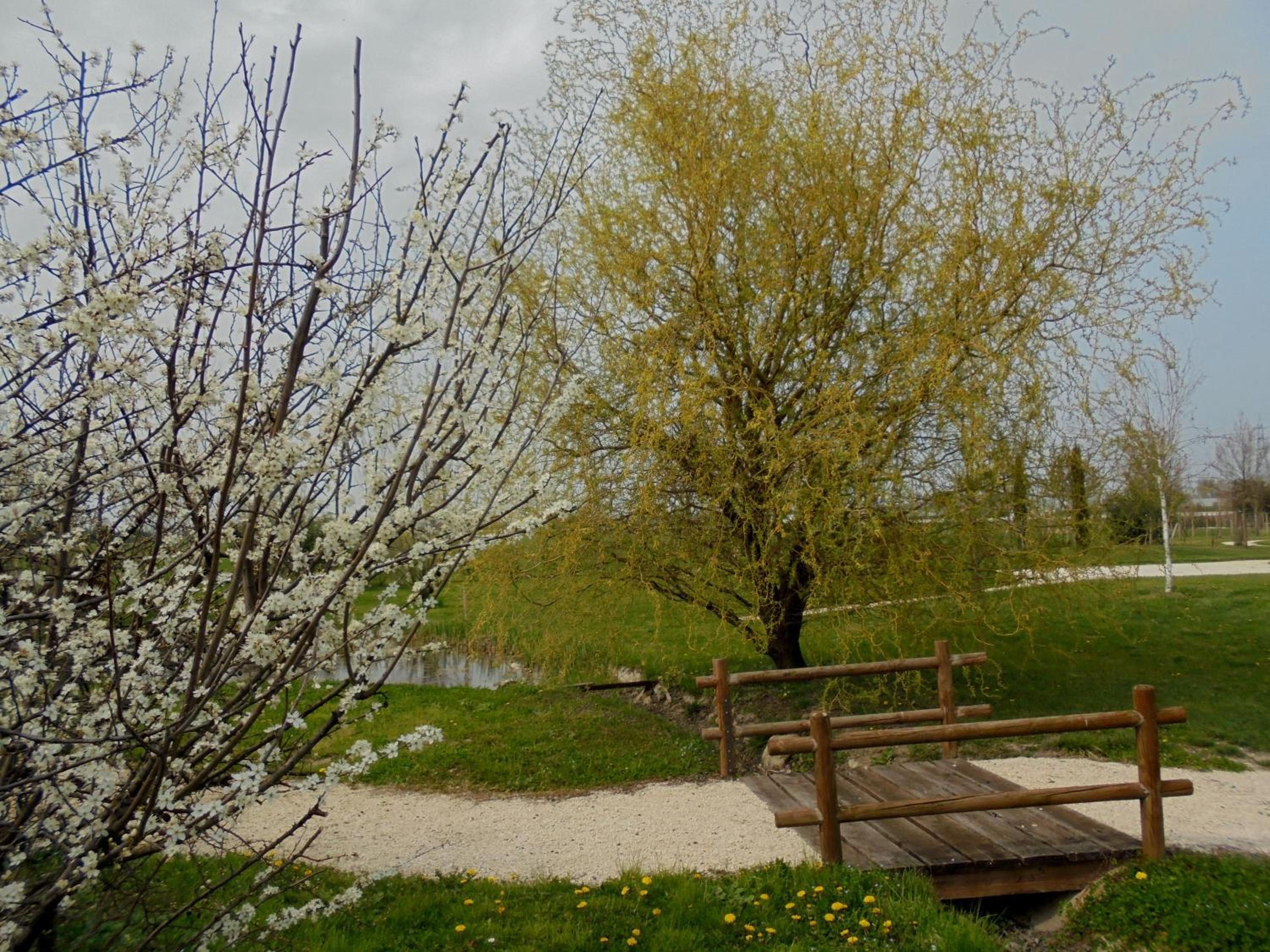 La Casa di Campagna - Property Image 122