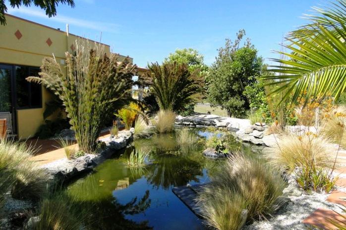 Mapua Hills Studio Bed and Breakfast view 5