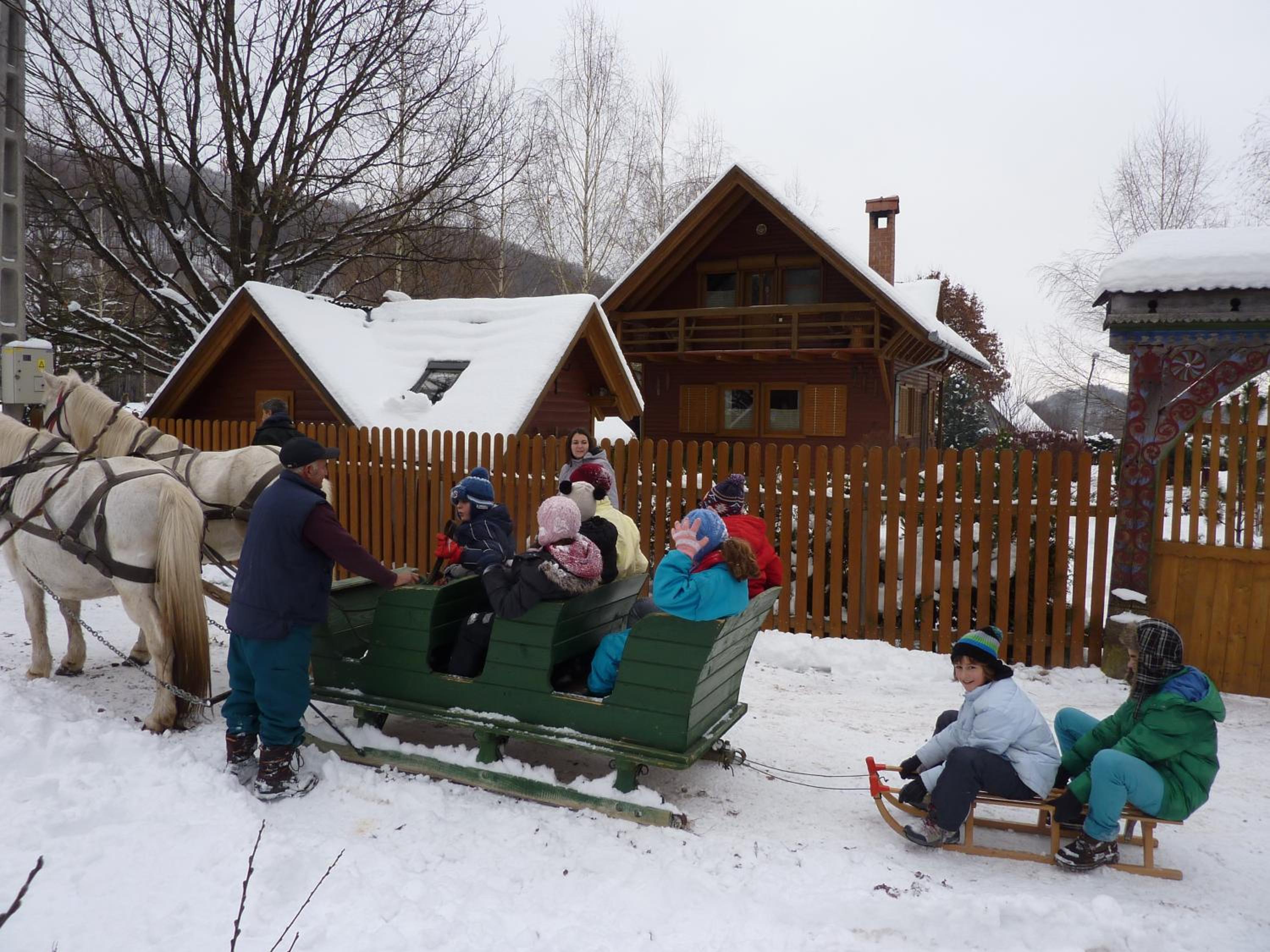 Photo 40