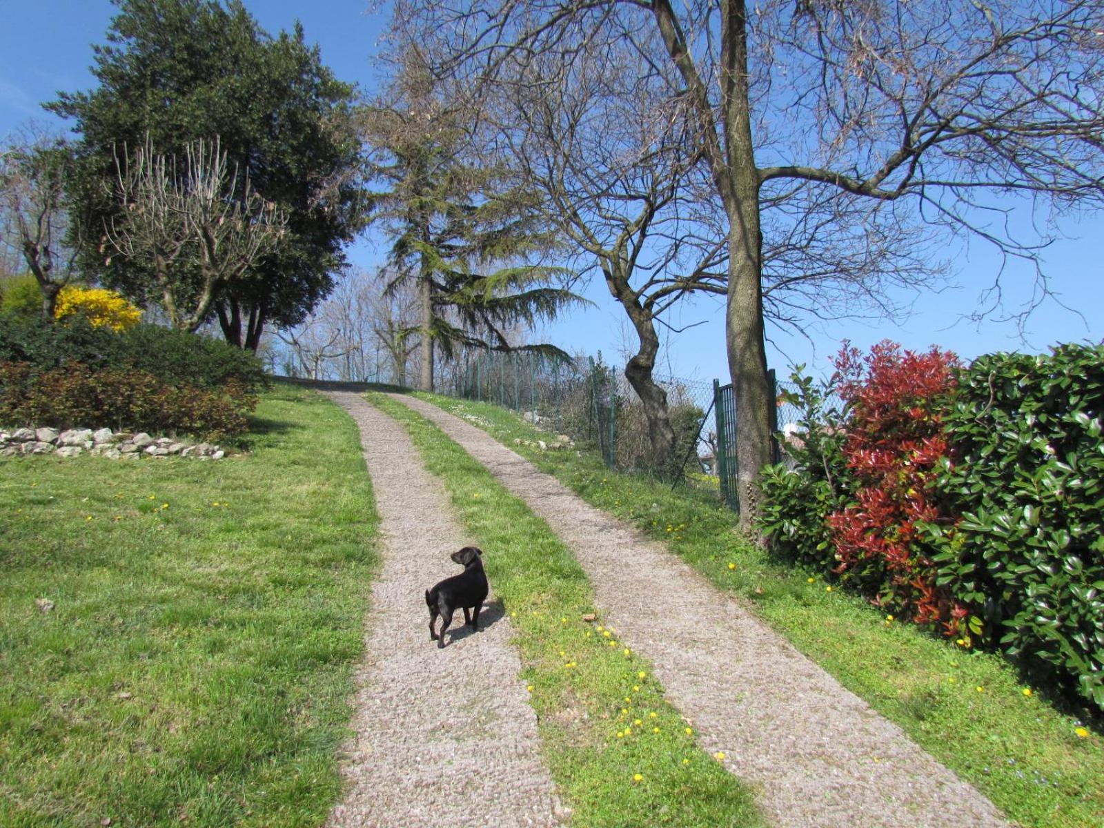 Photo 12