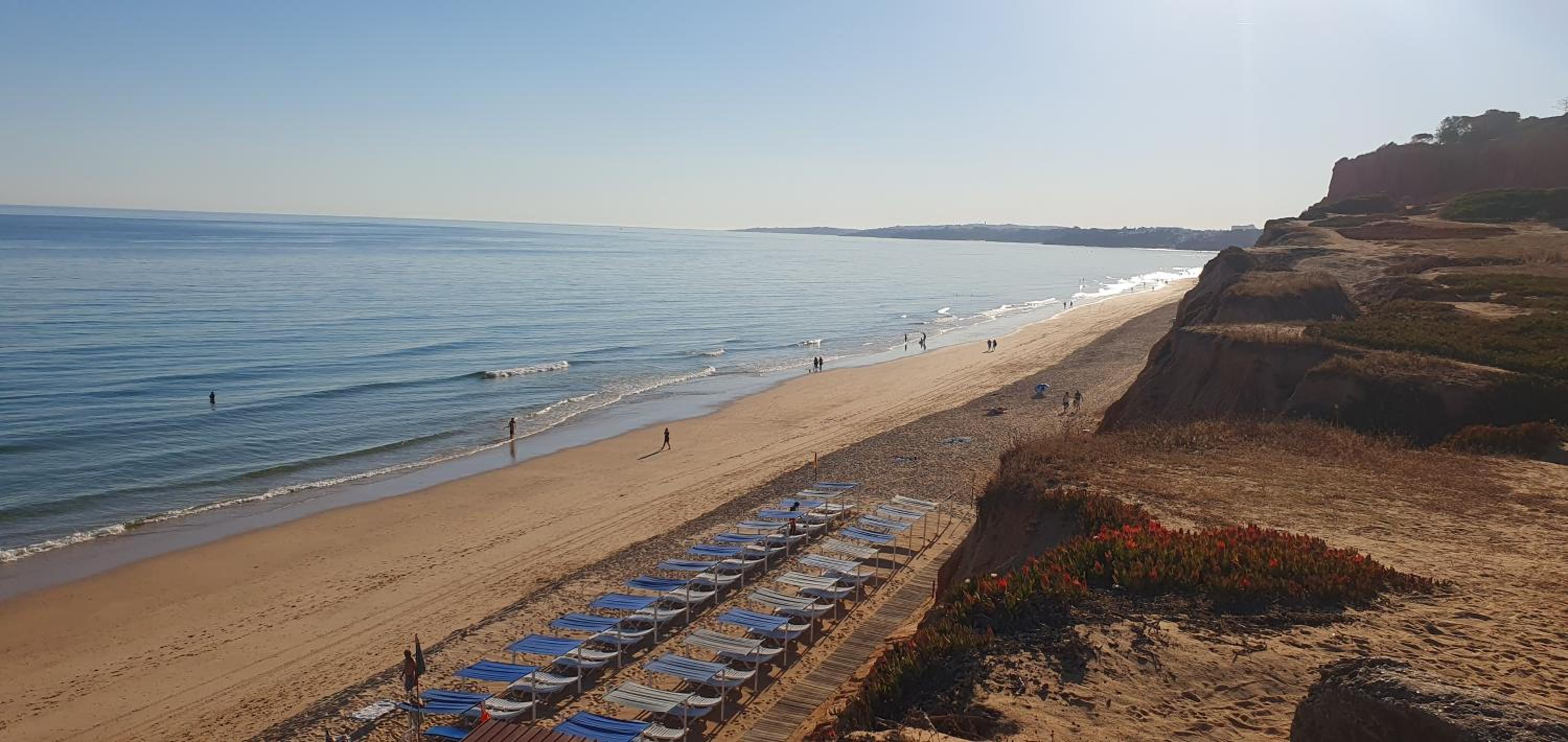 Alfamar e Falésia photo 3