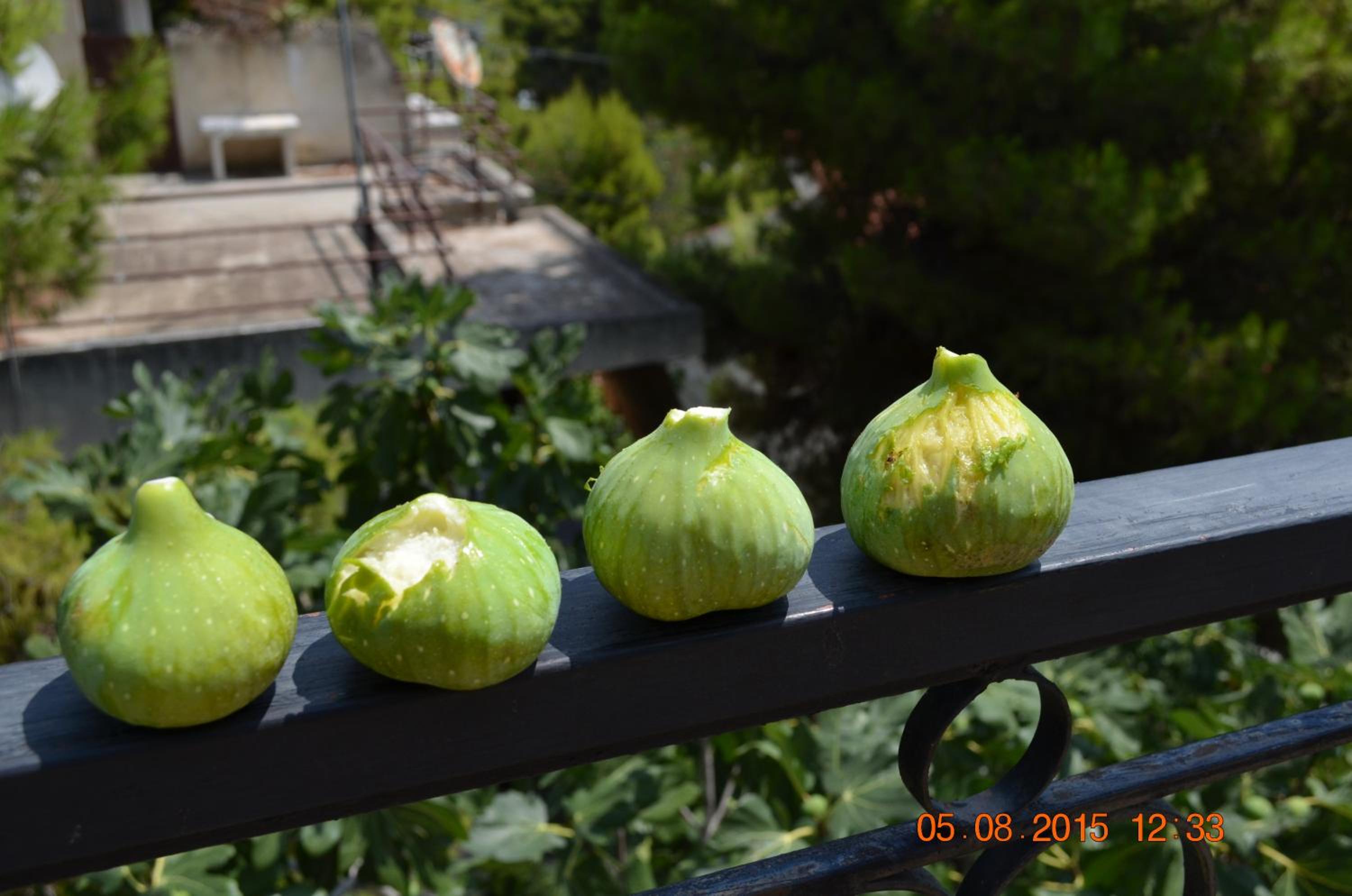 Apartments Zoumperi