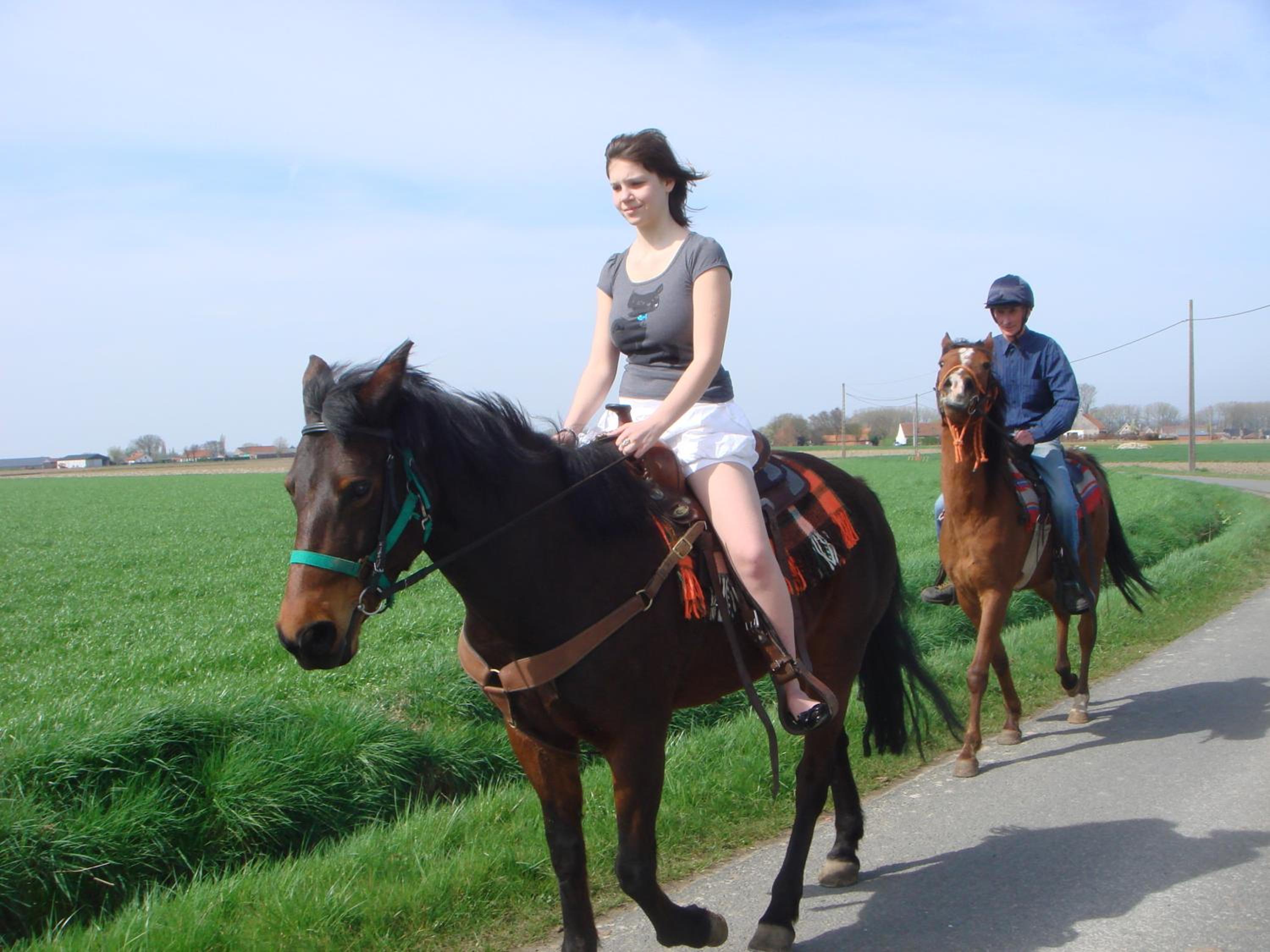B&B Kanegem Onverbloemd