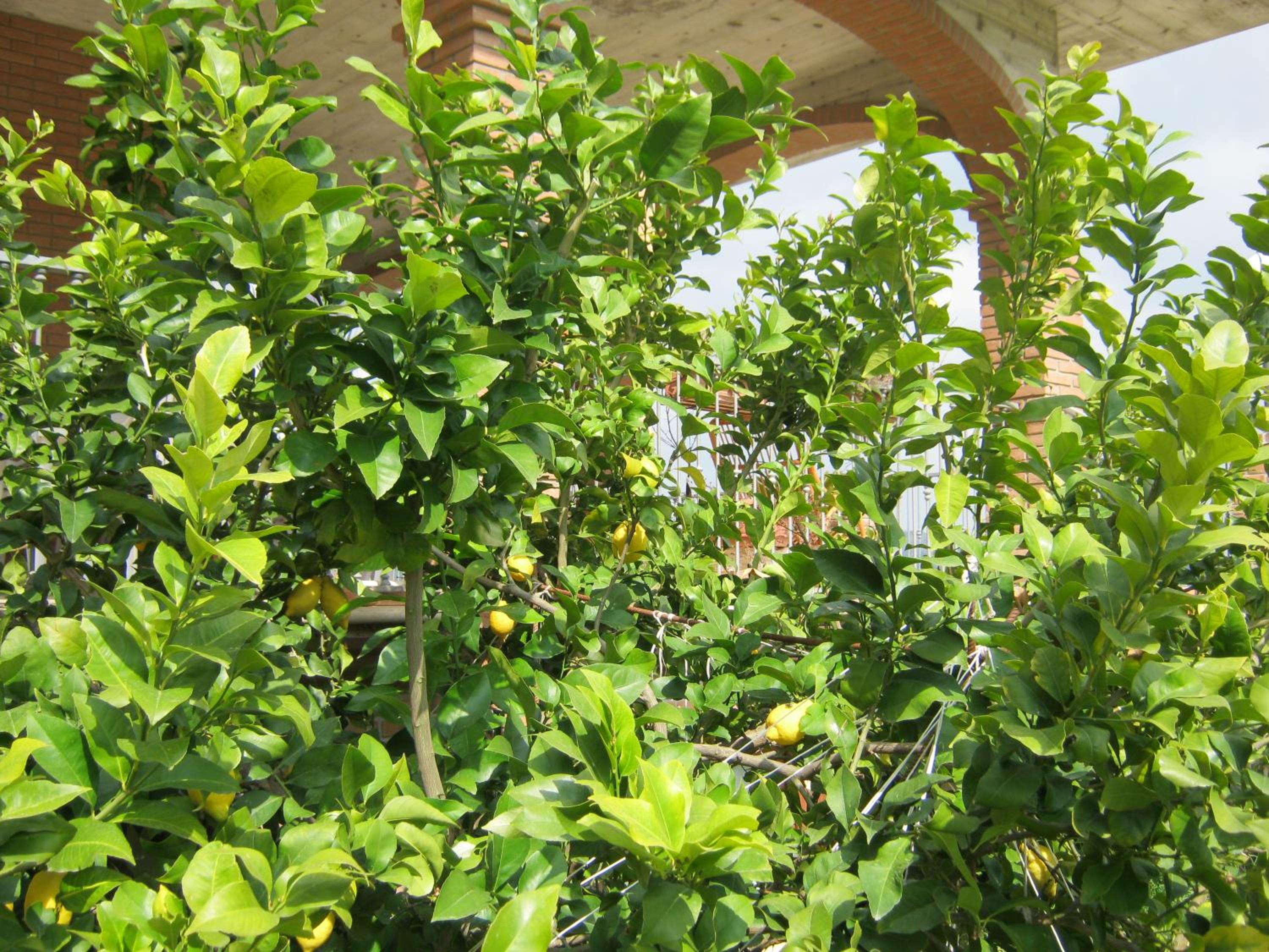 Photo 44