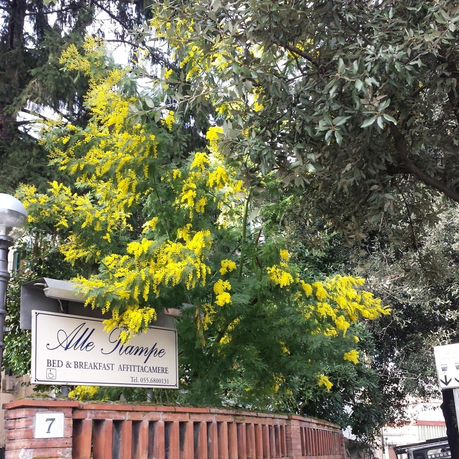 Villa Alle Rampe