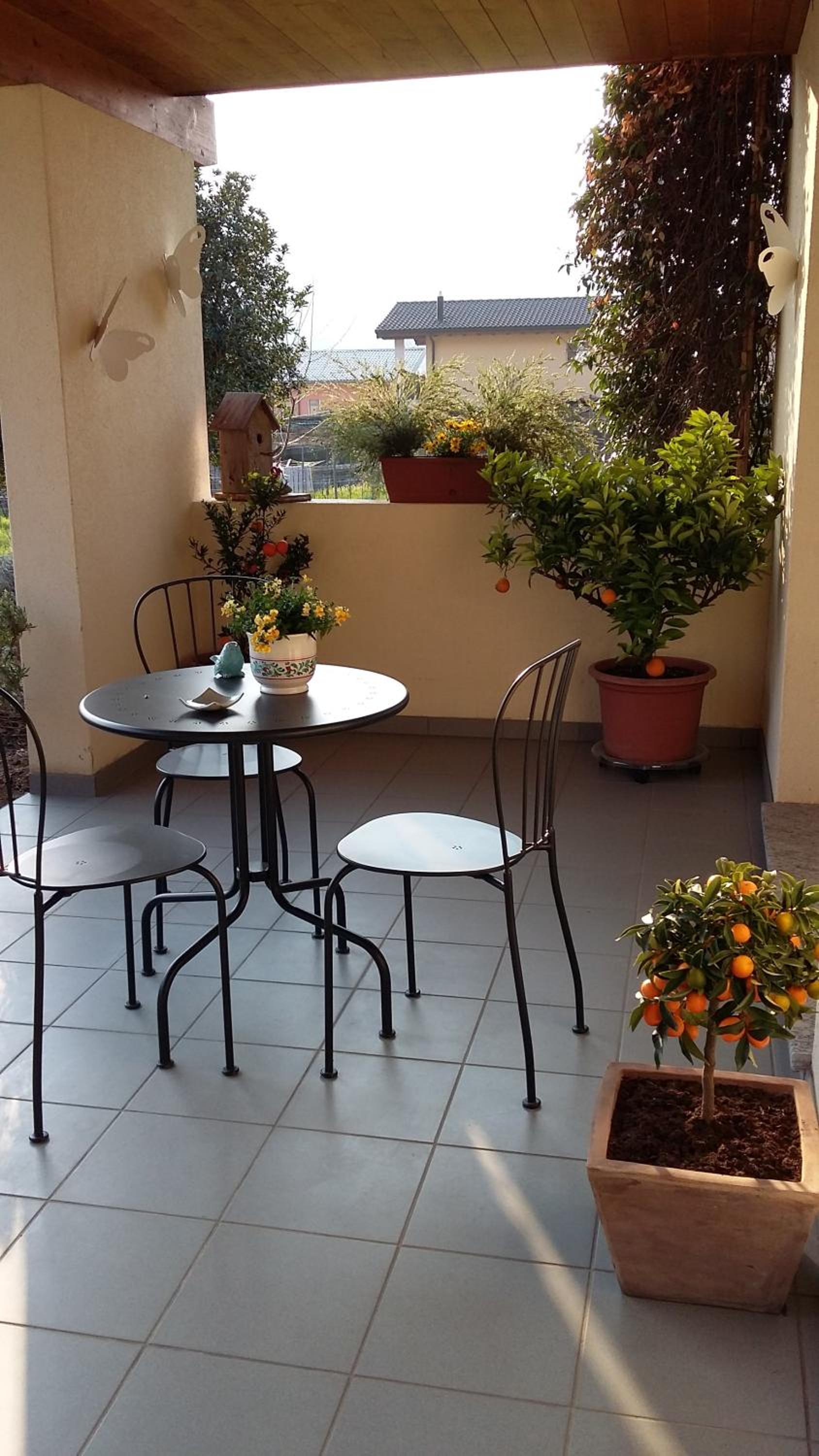 B&B Il Vigneto