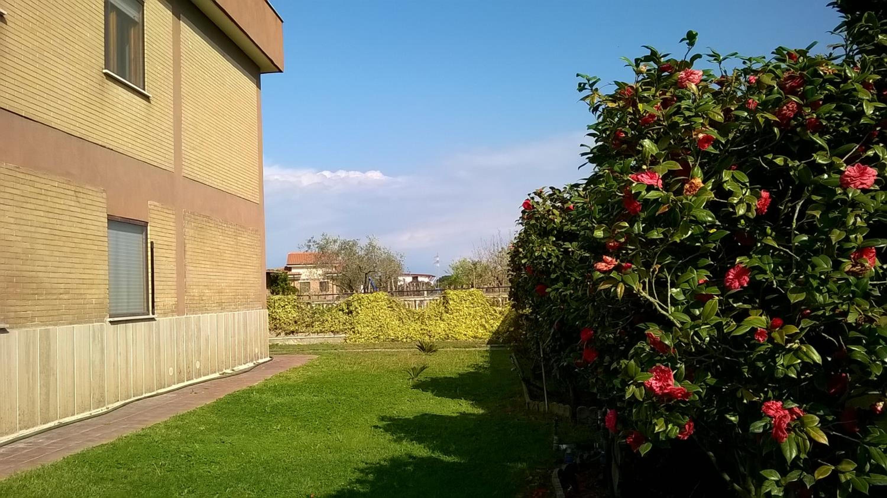 Photo 34