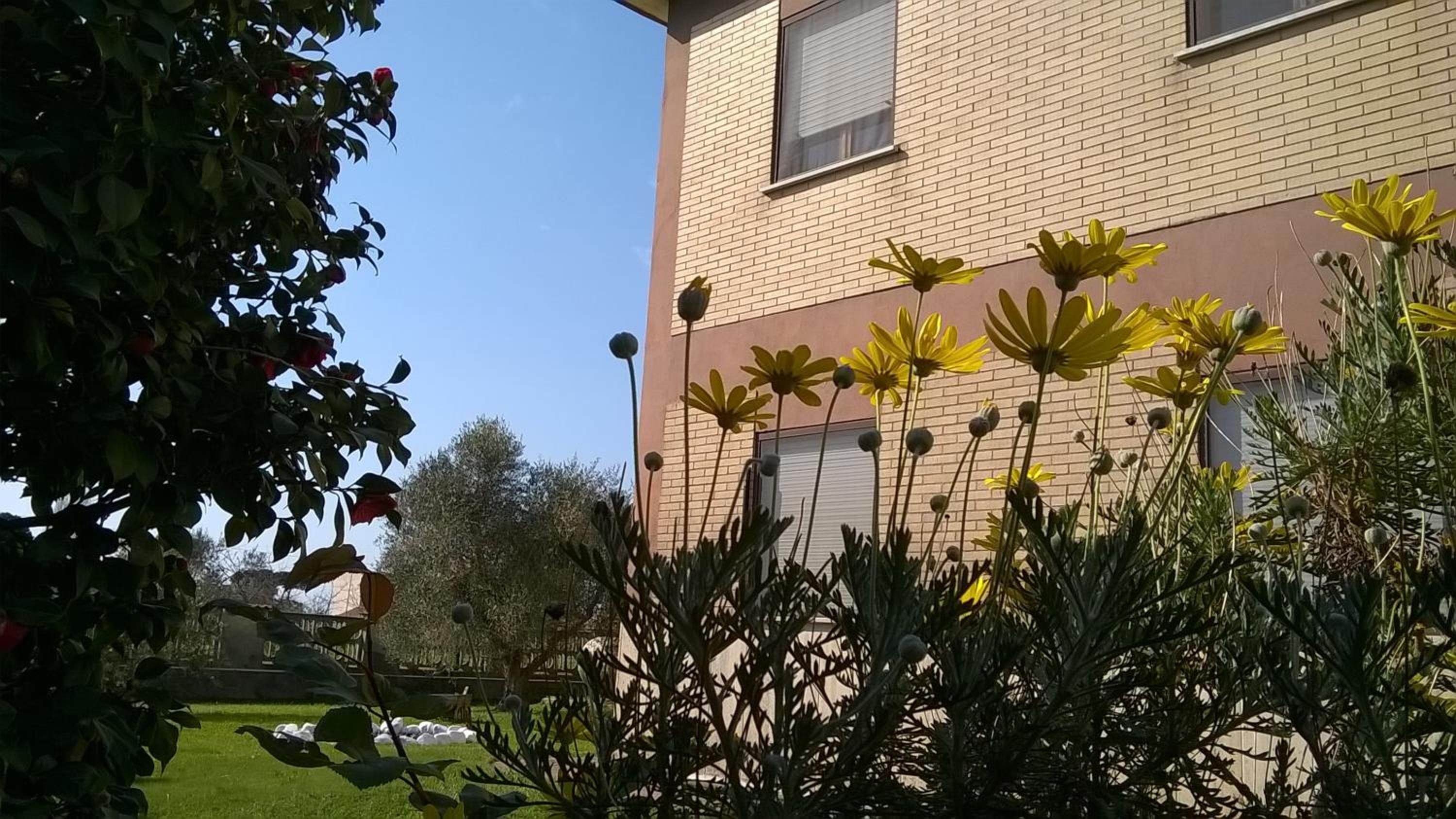 Photo 33