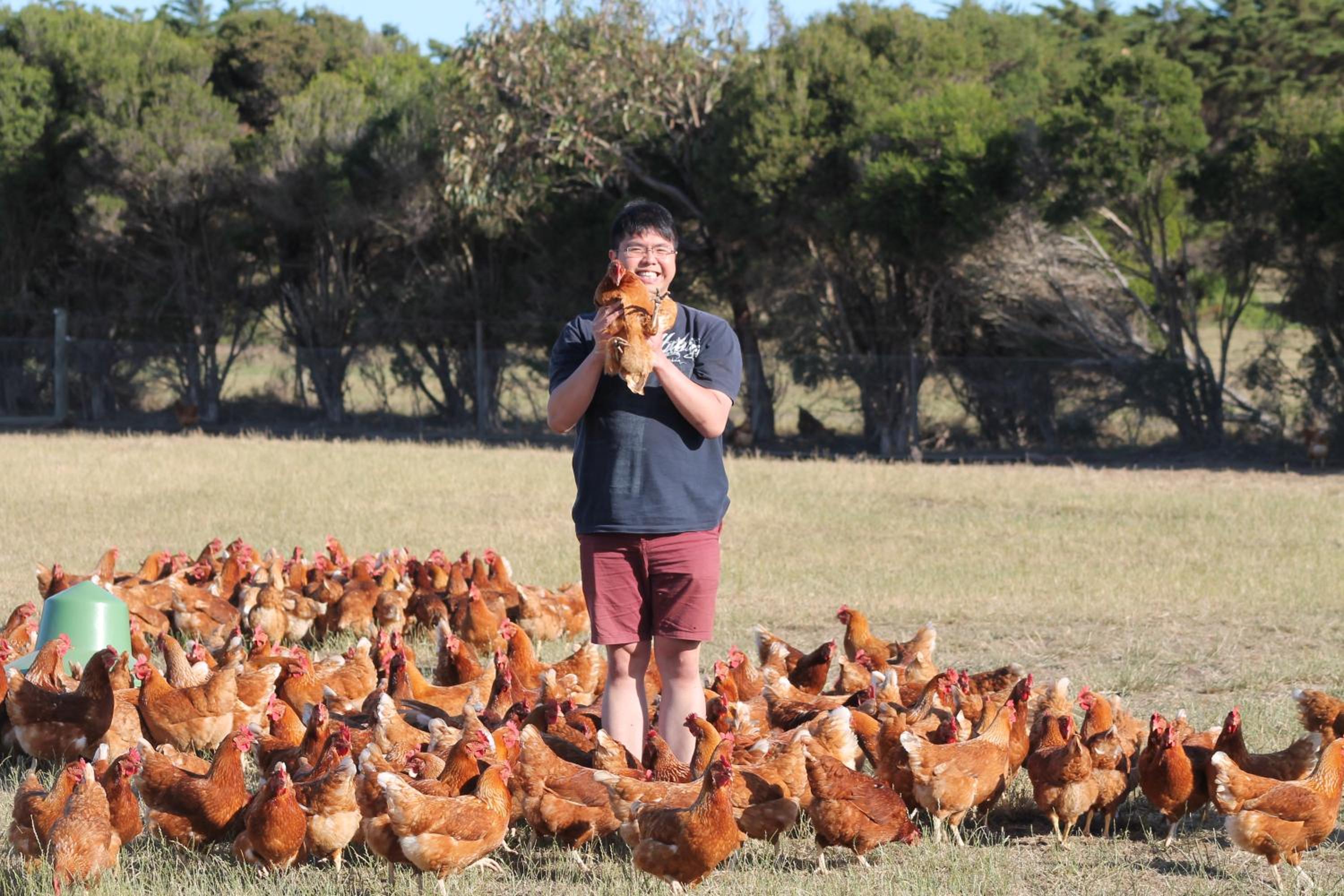 Bimbadeen Phillip Island Farm Retreats