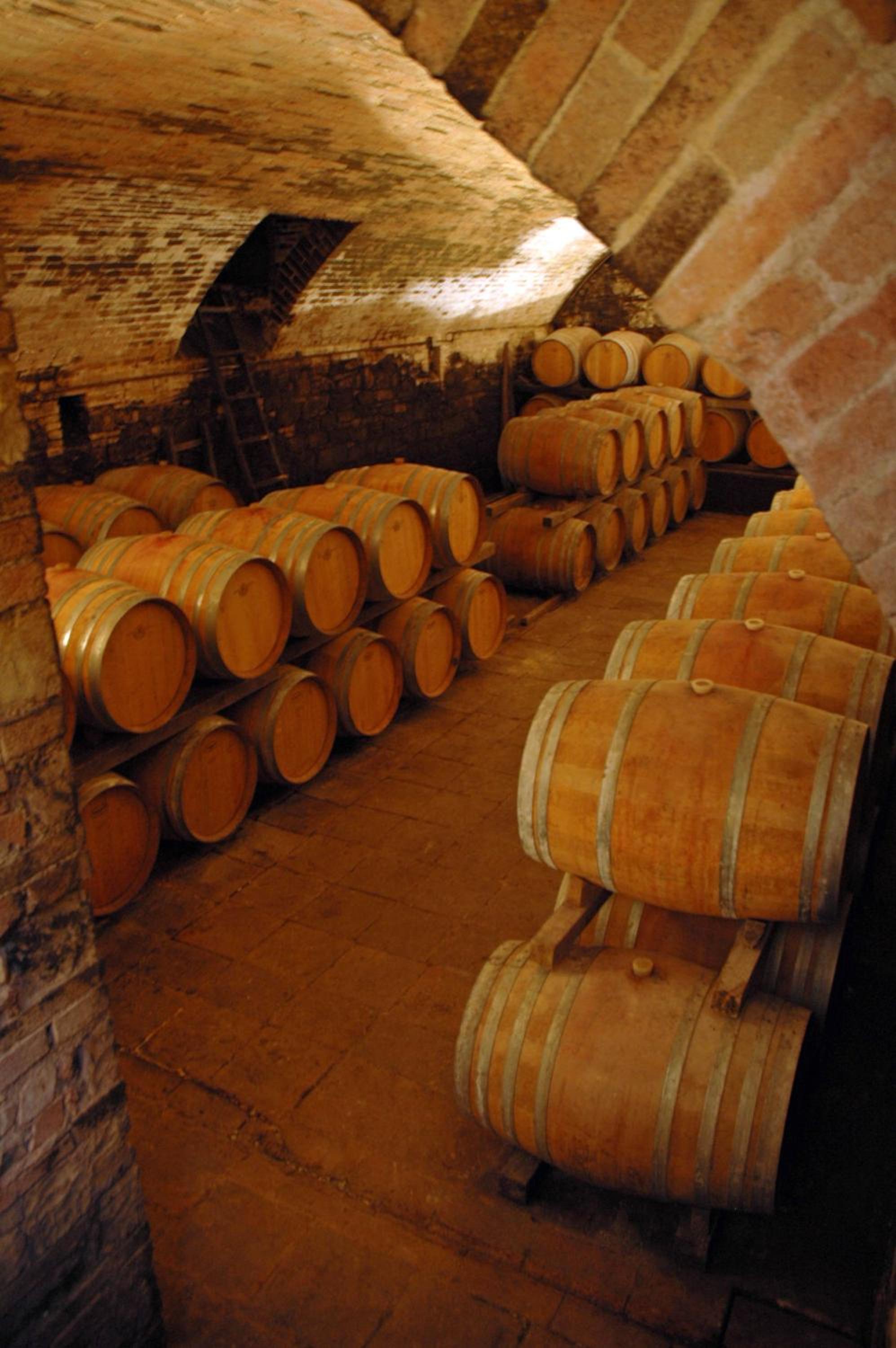 Fattoria Casa Sola