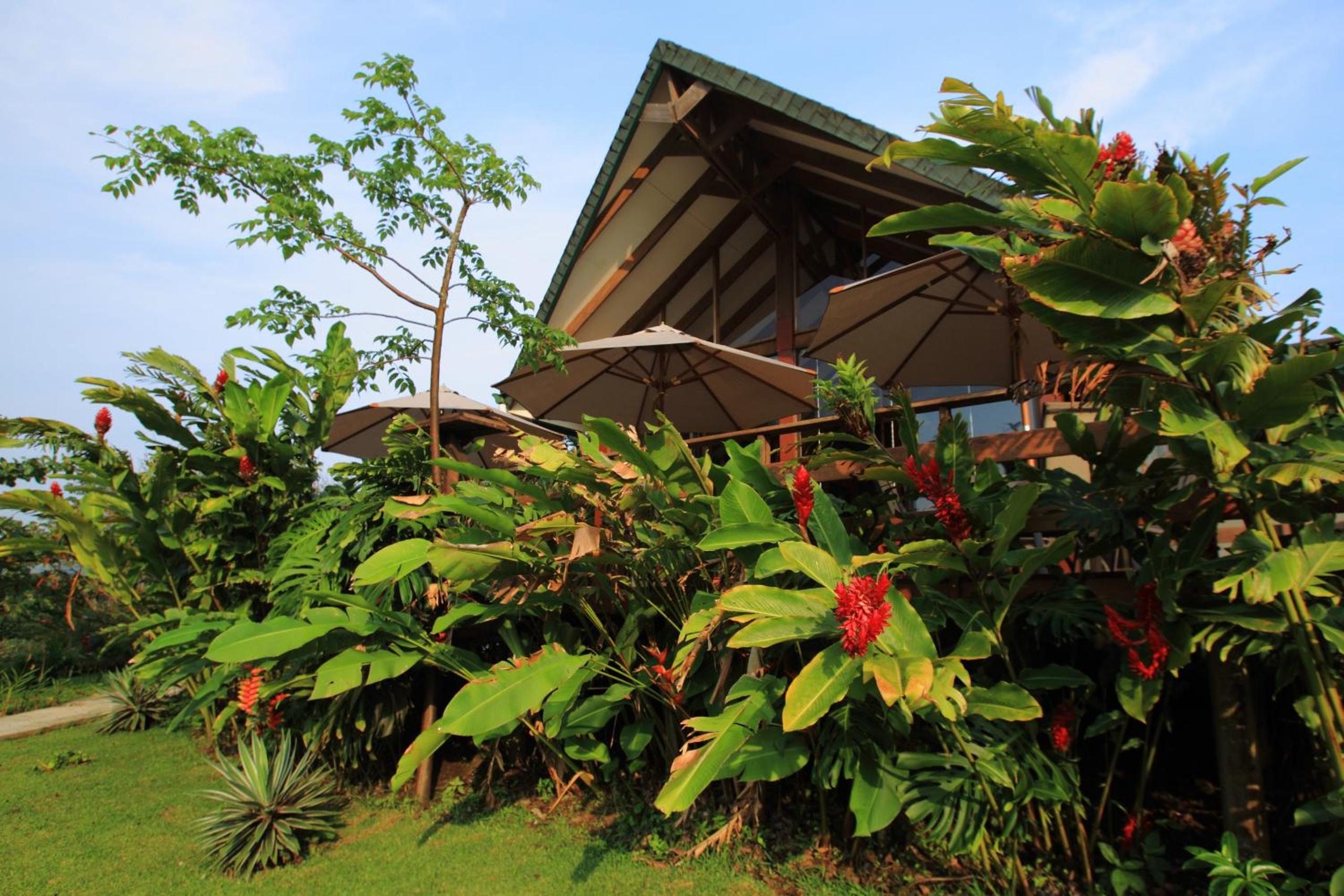 Tenorio Lodge view 4